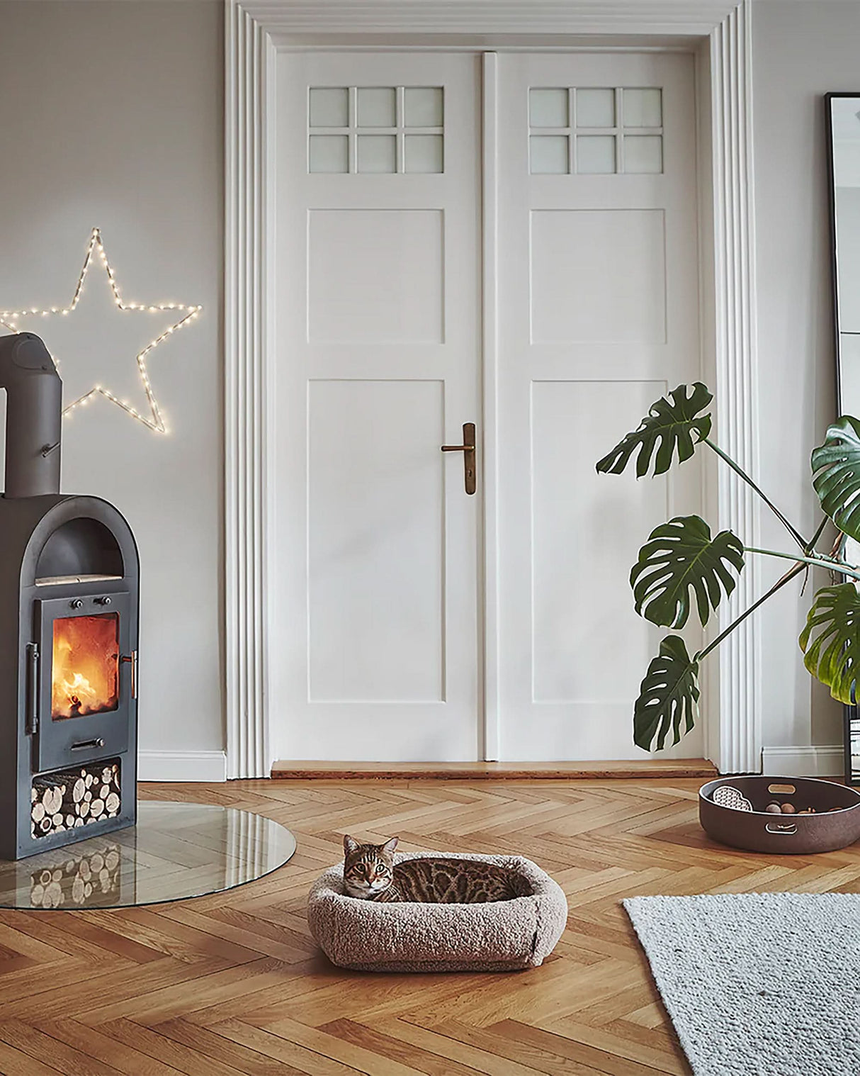 Senso Cat Bed | מיטה לחתול