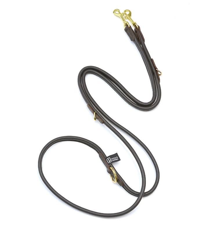 רצועות ארוכות לכלבים