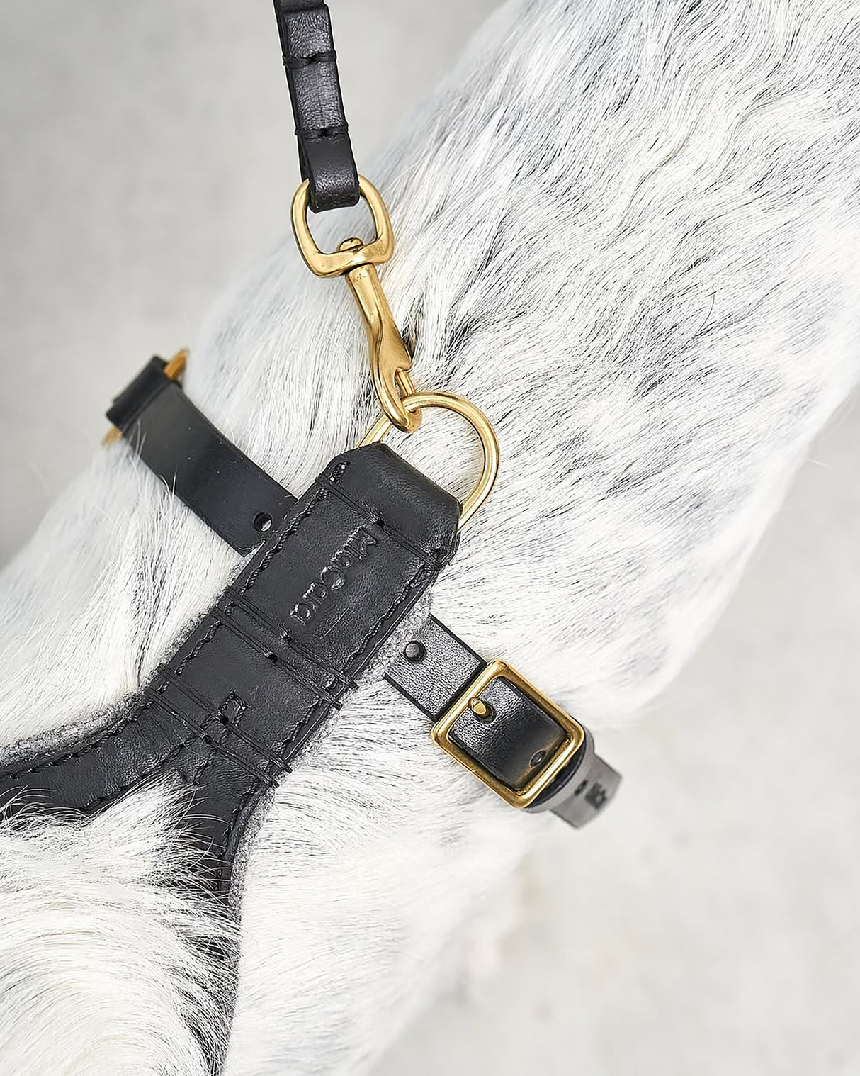 רתמת עור אלגנטית לכלב | VERONA LEATHER DOG HARNESS