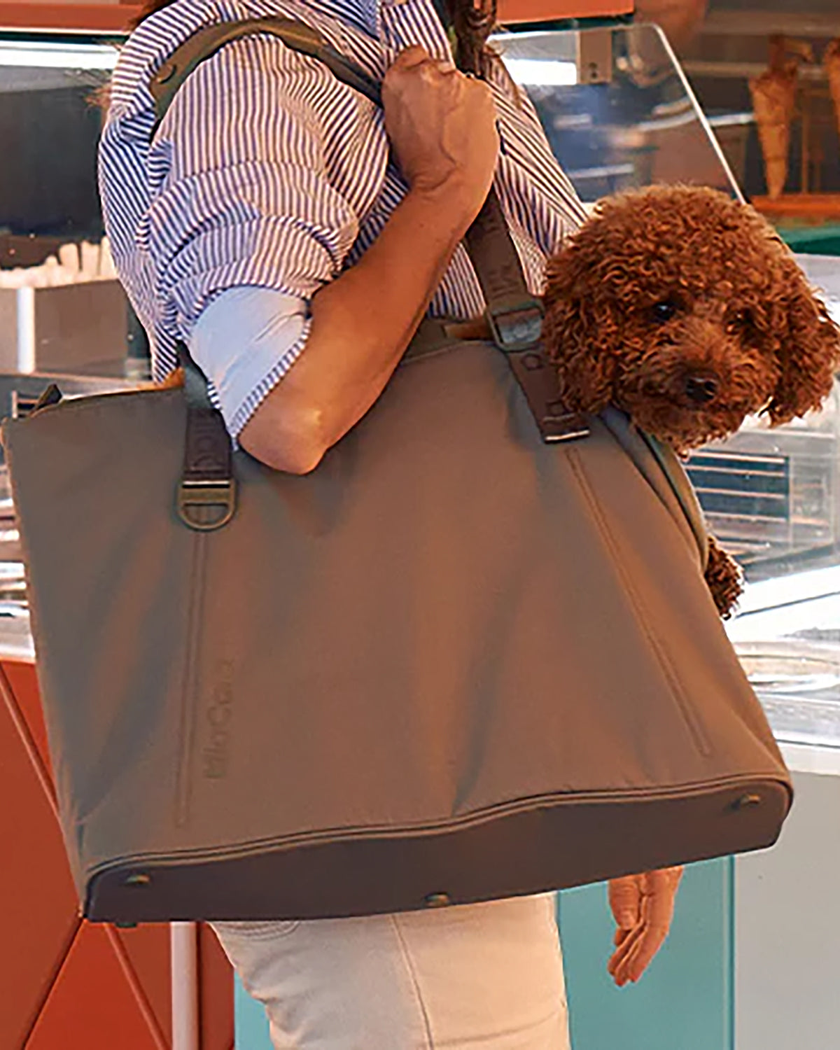 SPORTA DOG CARRIER BAG | תיק נשיאה לכלב