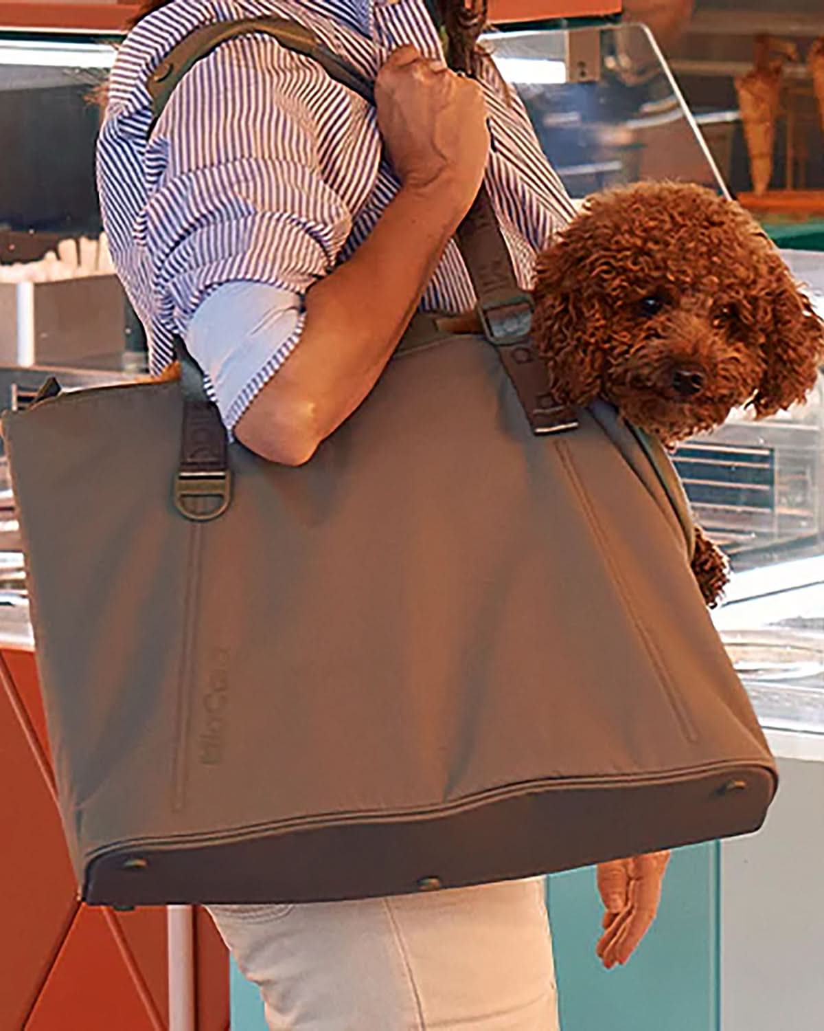 SPORTA DOG CARRIER BAG | תיק נשיאה לכלב