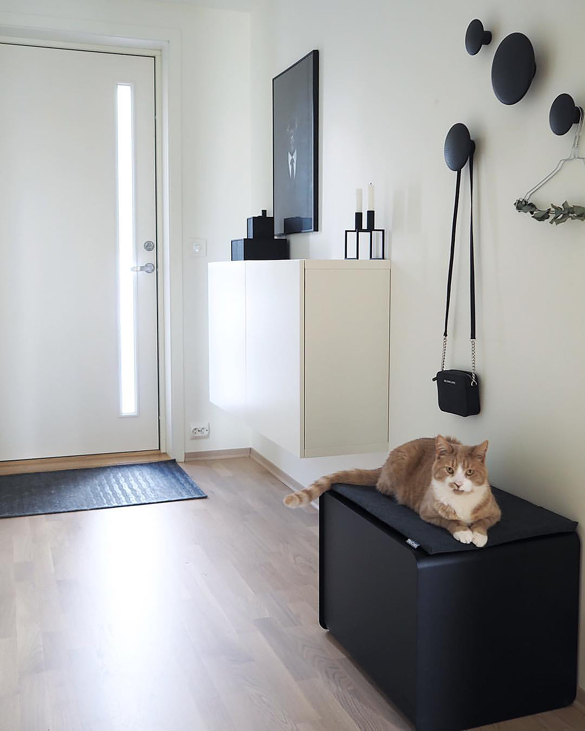 SITO SEATING CUSION FOR LITTER BOX | כרית ישיבה לארגז חול לחתולים
