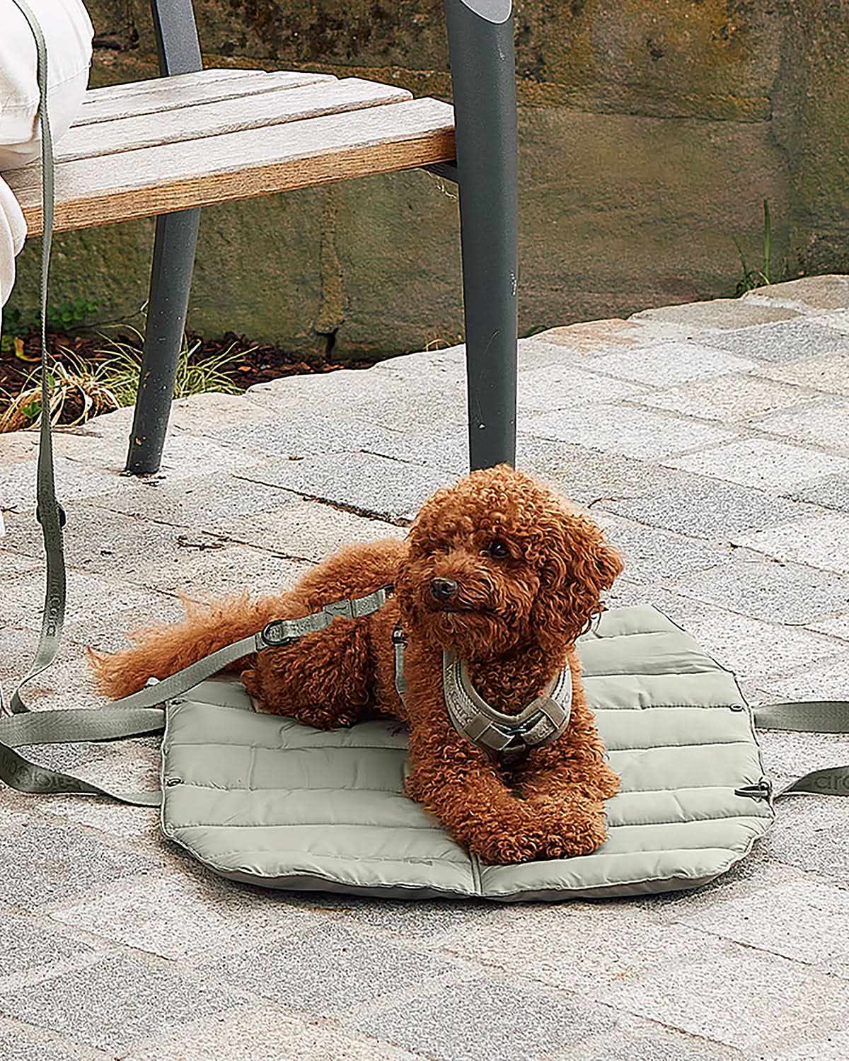 STRADA DOG TRAVEL MAT | מזרן טיולים מתקפל לכלב
