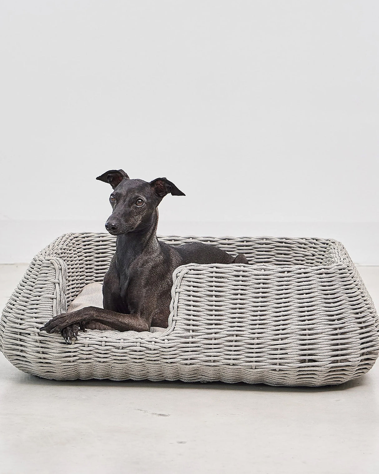 MIO ROPE DOG BED BASKET | מיטת פנים וחוץ לכלבים