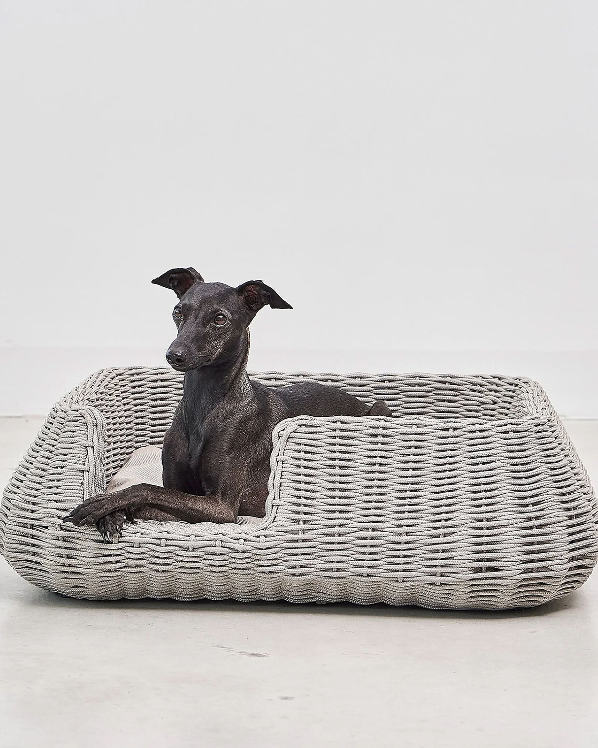 MIO ROPE DOG BED BASKET | מיטת פנים וחוץ לכלבים