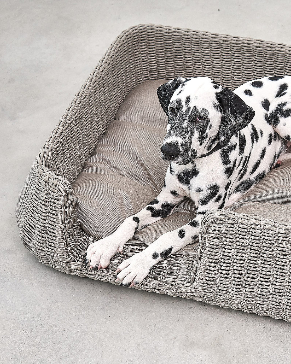 MIO ROPE DOG BED BASKET | מיטת פנים וחוץ לכלבים