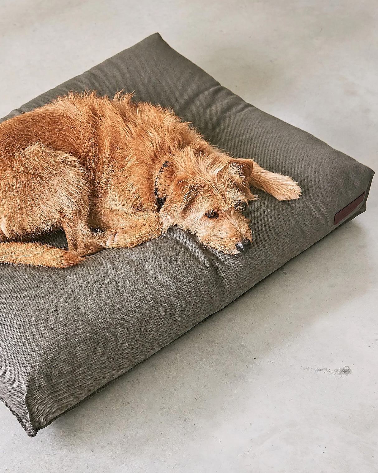 ריפוד להחלפה למיטה לכלב | REPLACEMENT COVER FOR MARE DOG CUSHION