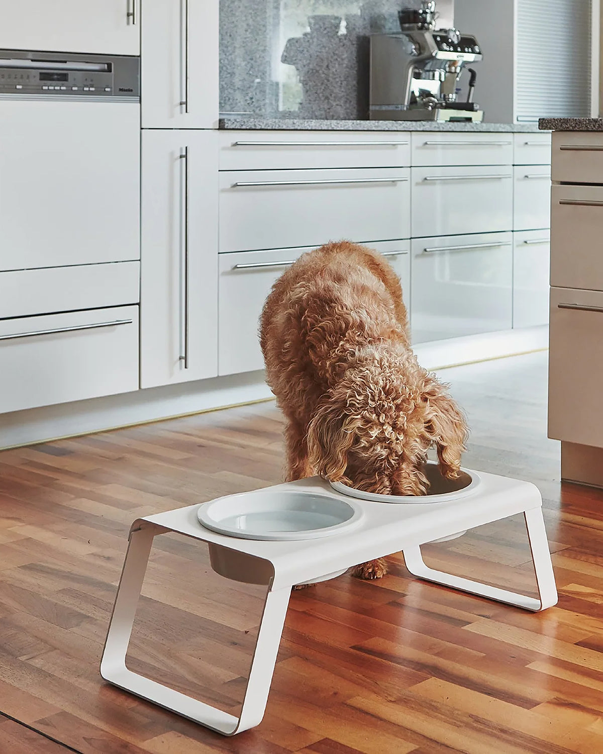 DESCO ALU PORCELAIN | מעמד קערות מוגבה לכלב