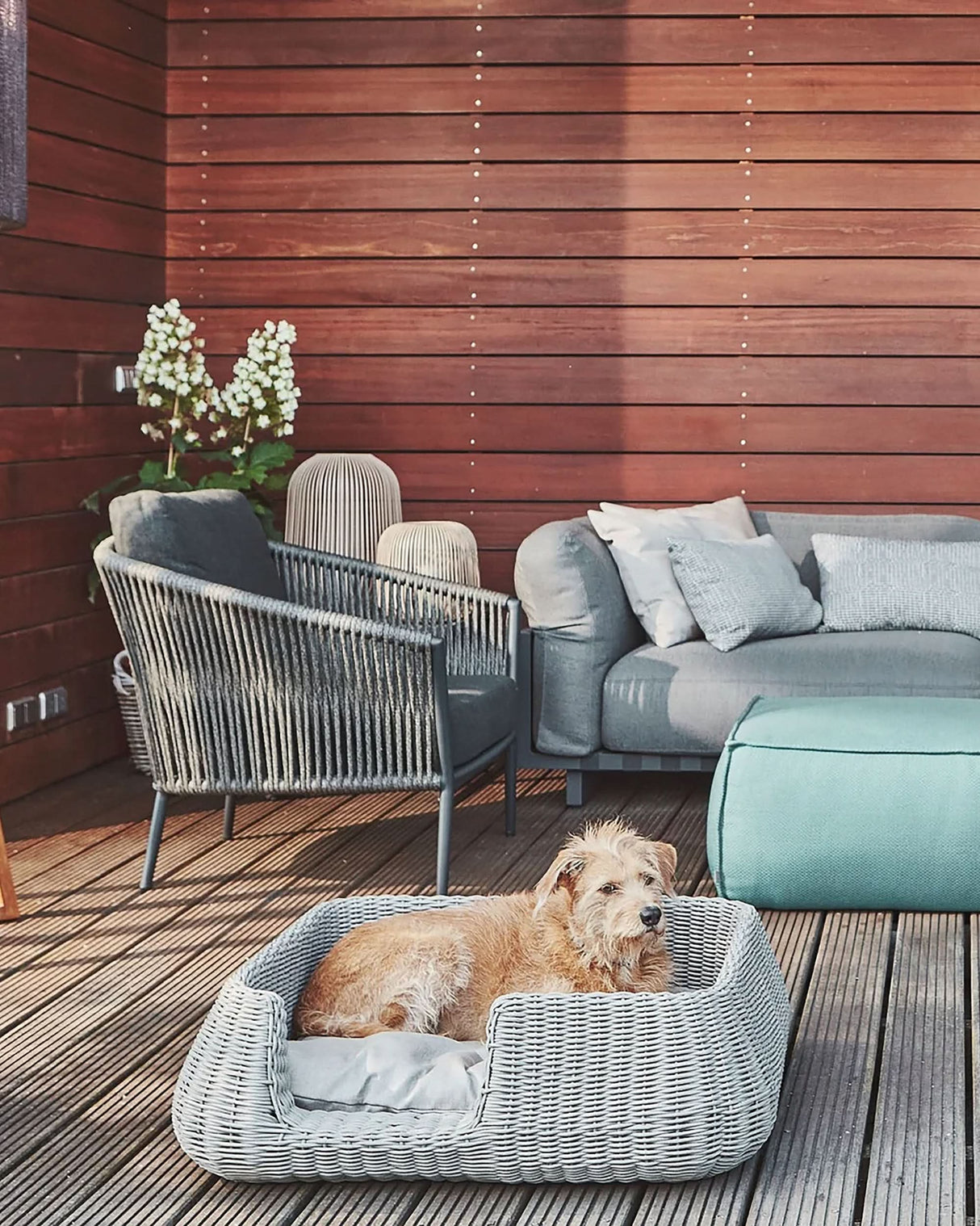 MIO ROPE DOG BED BASKET | מיטת פנים וחוץ לכלבים