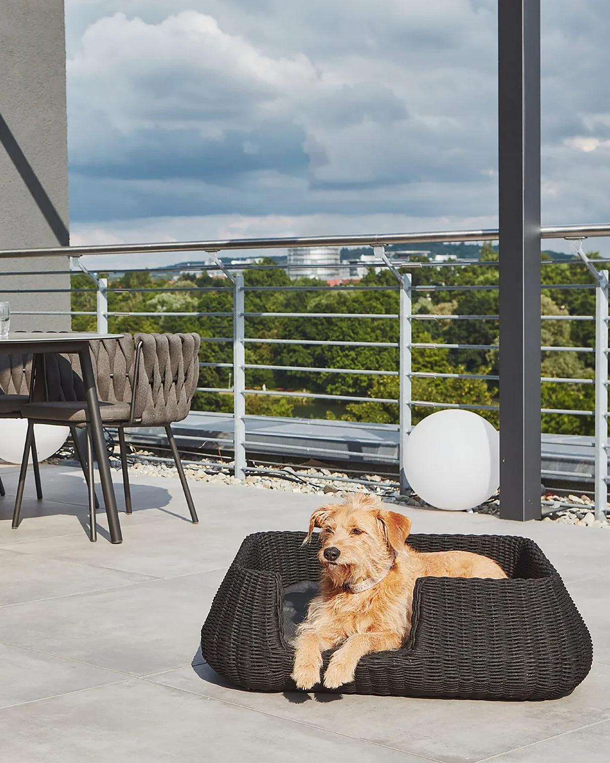 MIO ROPE DOG BED BASKET | מיטת פנים וחוץ לכלבים