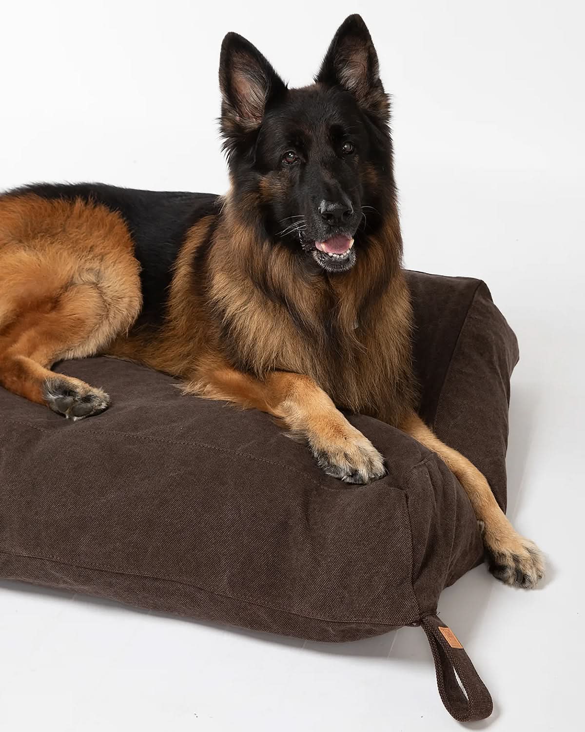 YOUSUF ORGANIC COTTON DOG BED | מיטה לכלב