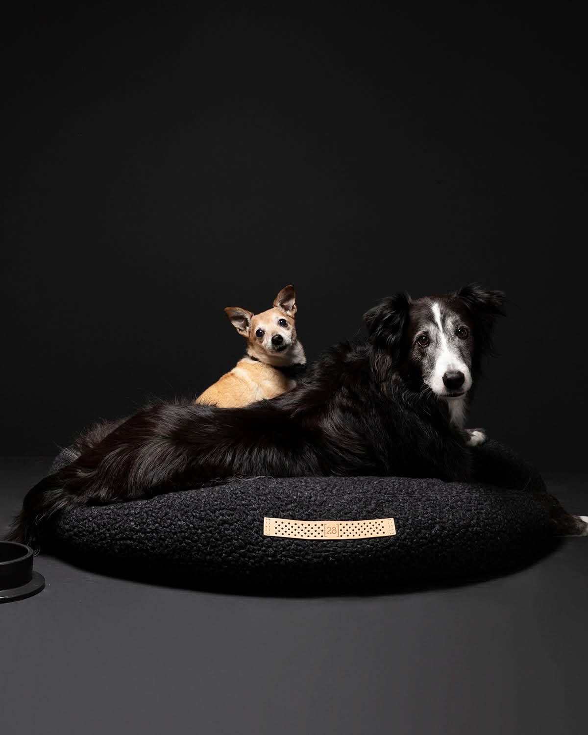 מיטת פוף לכלב