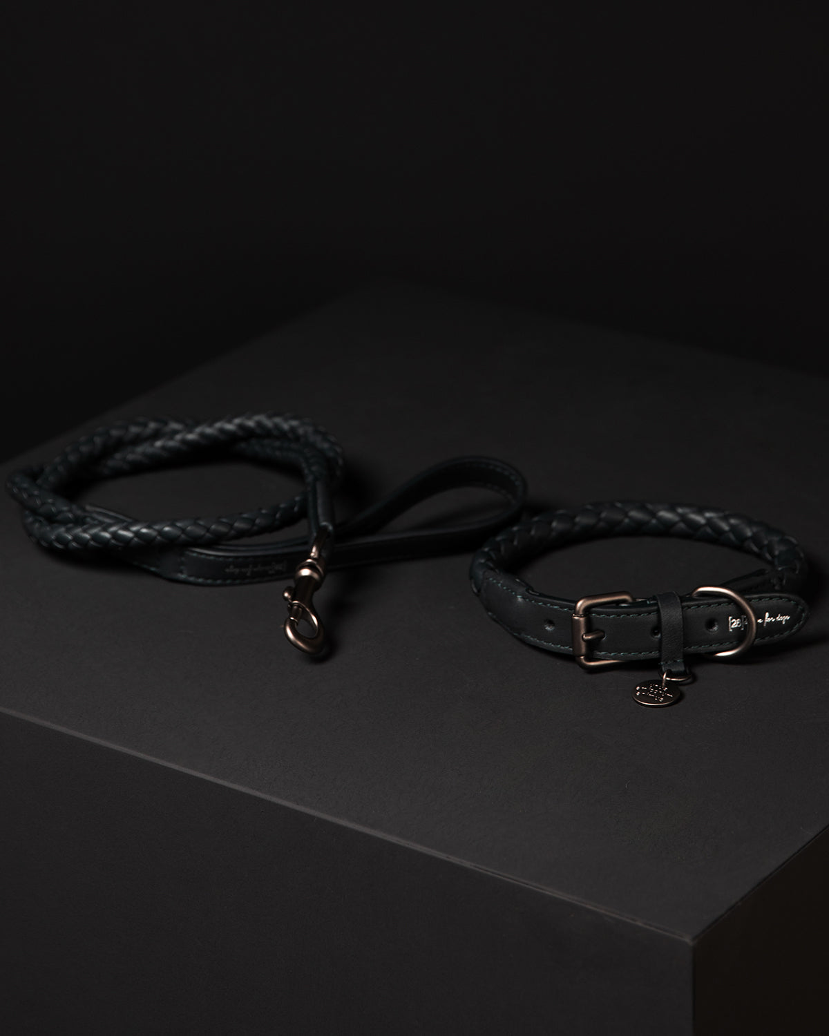 רצועת עור לכלב