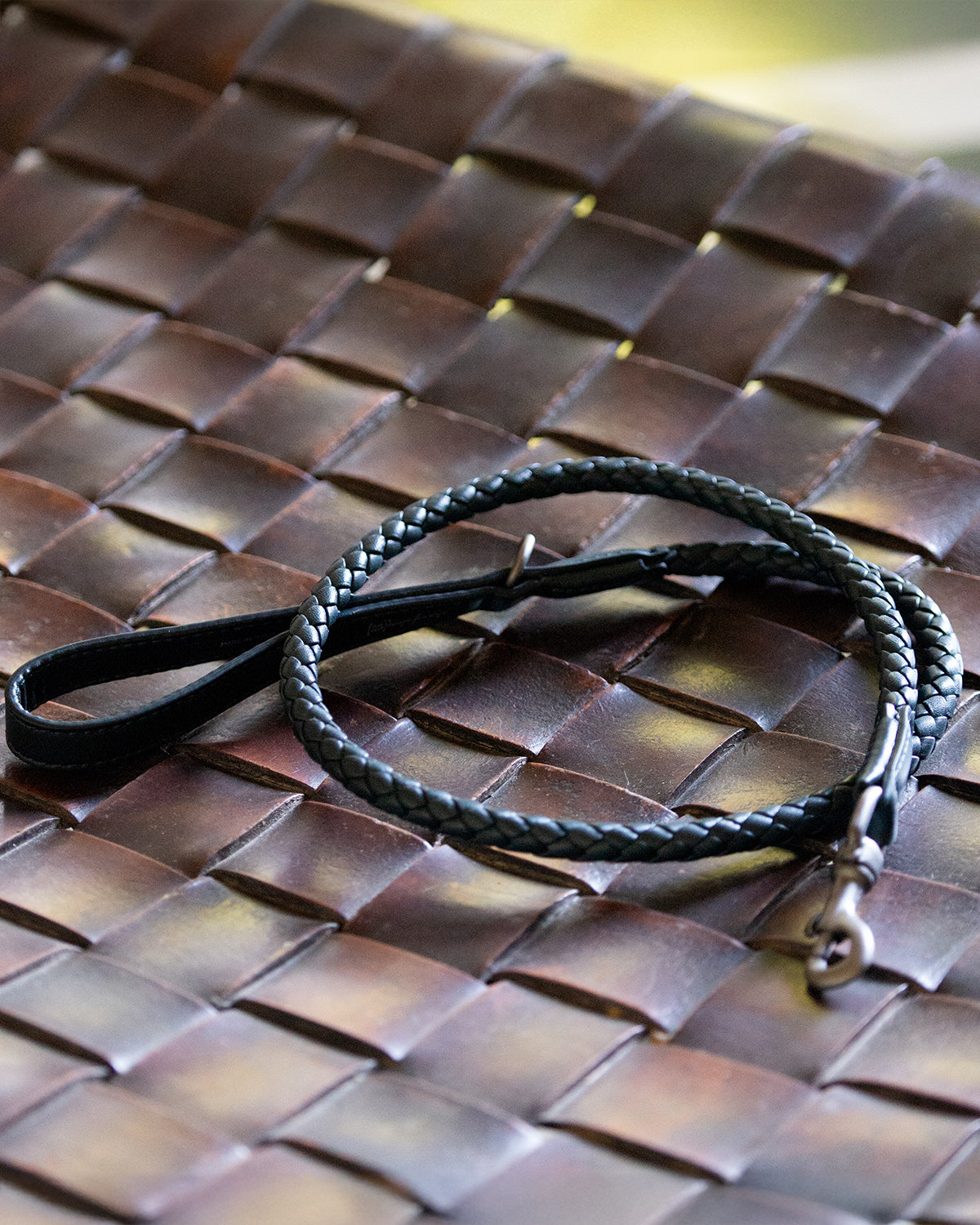 רצועת עור לכלב