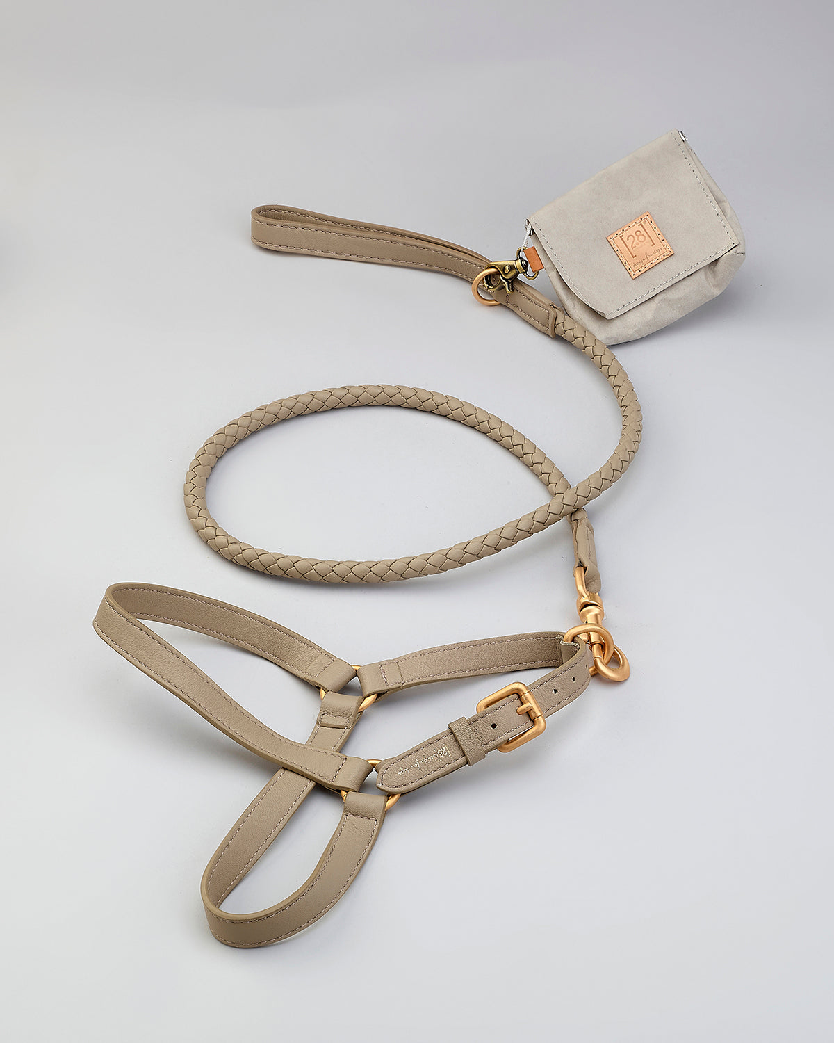 רצועת עור לכלב