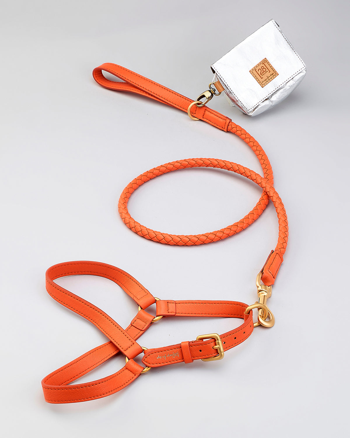 רצועת עור לכלב