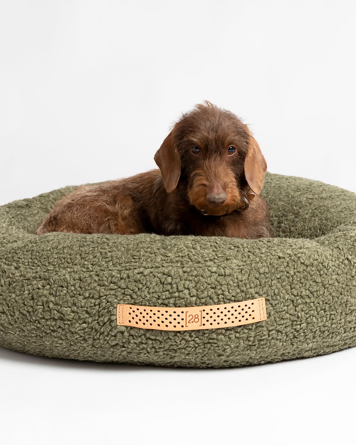 מיטת פוף לכלב