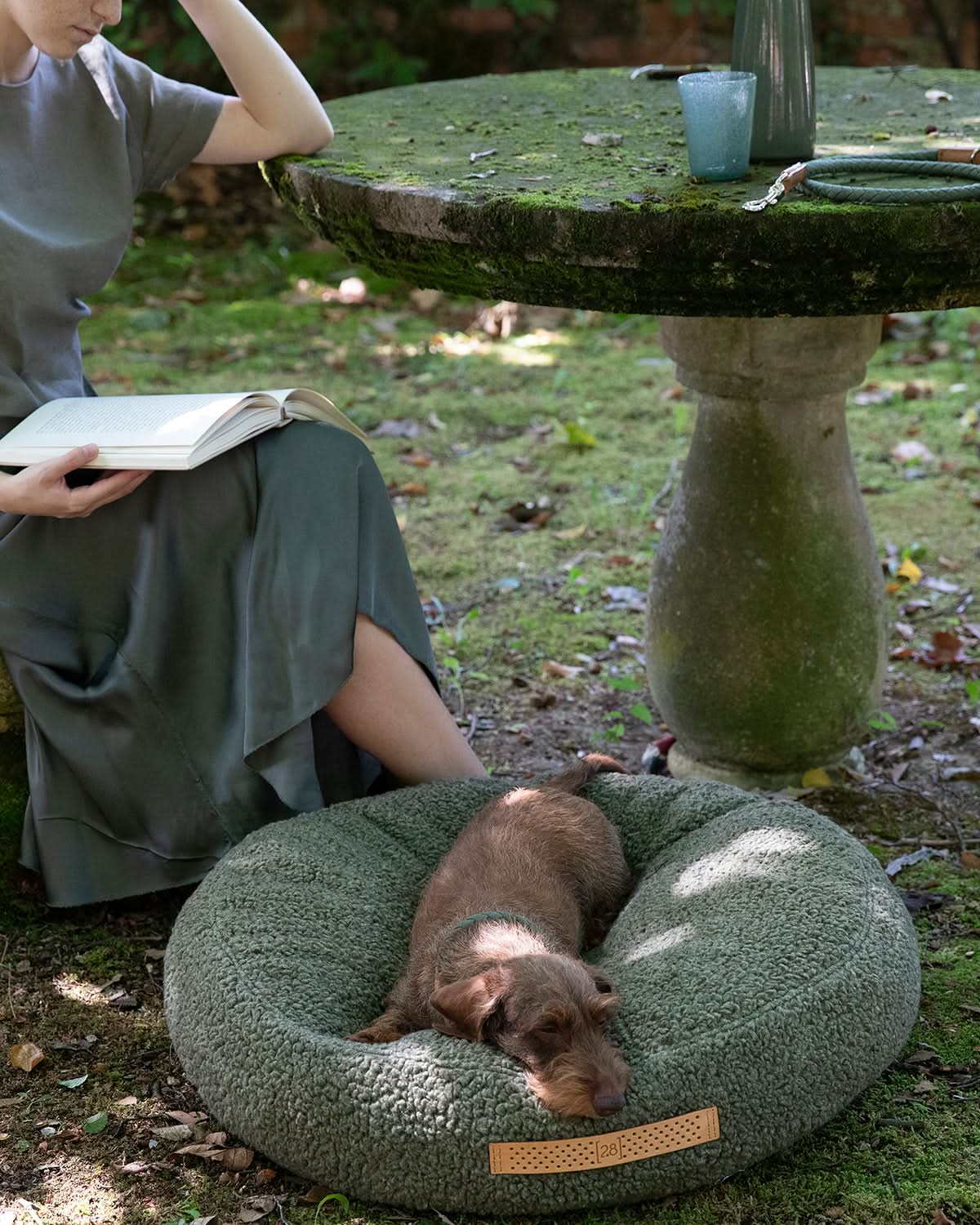 מיטת פוף לכלב