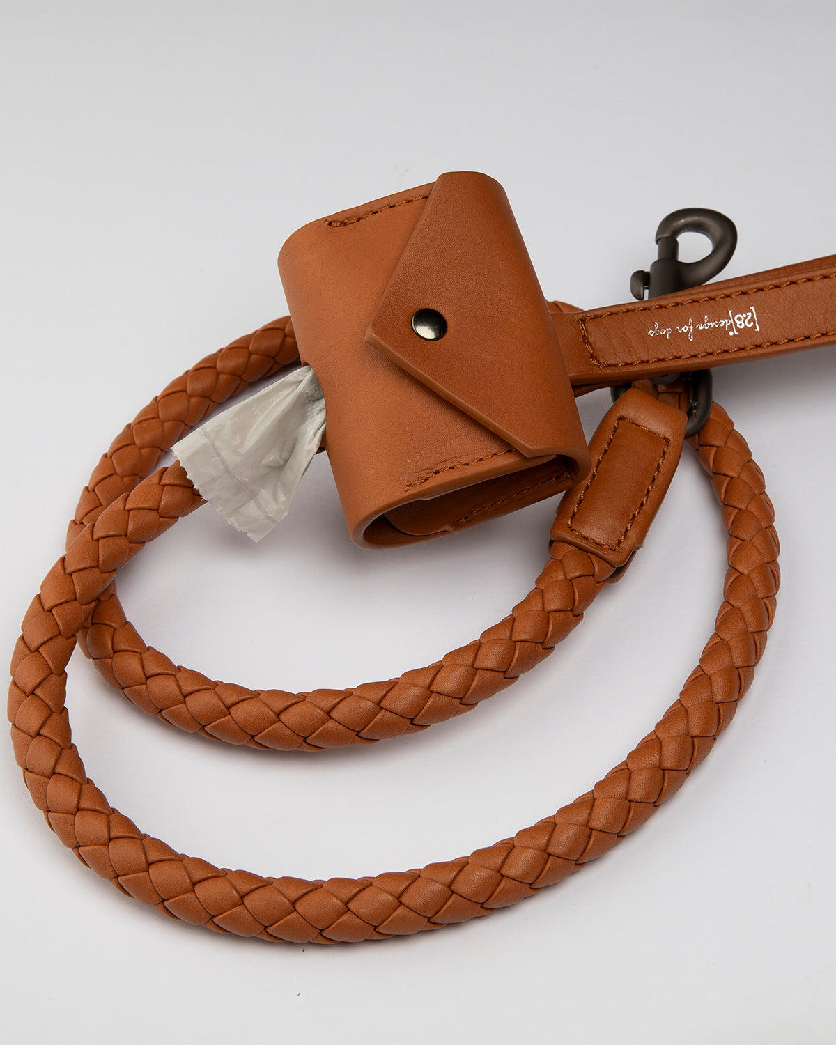 רצועת עור לכלב