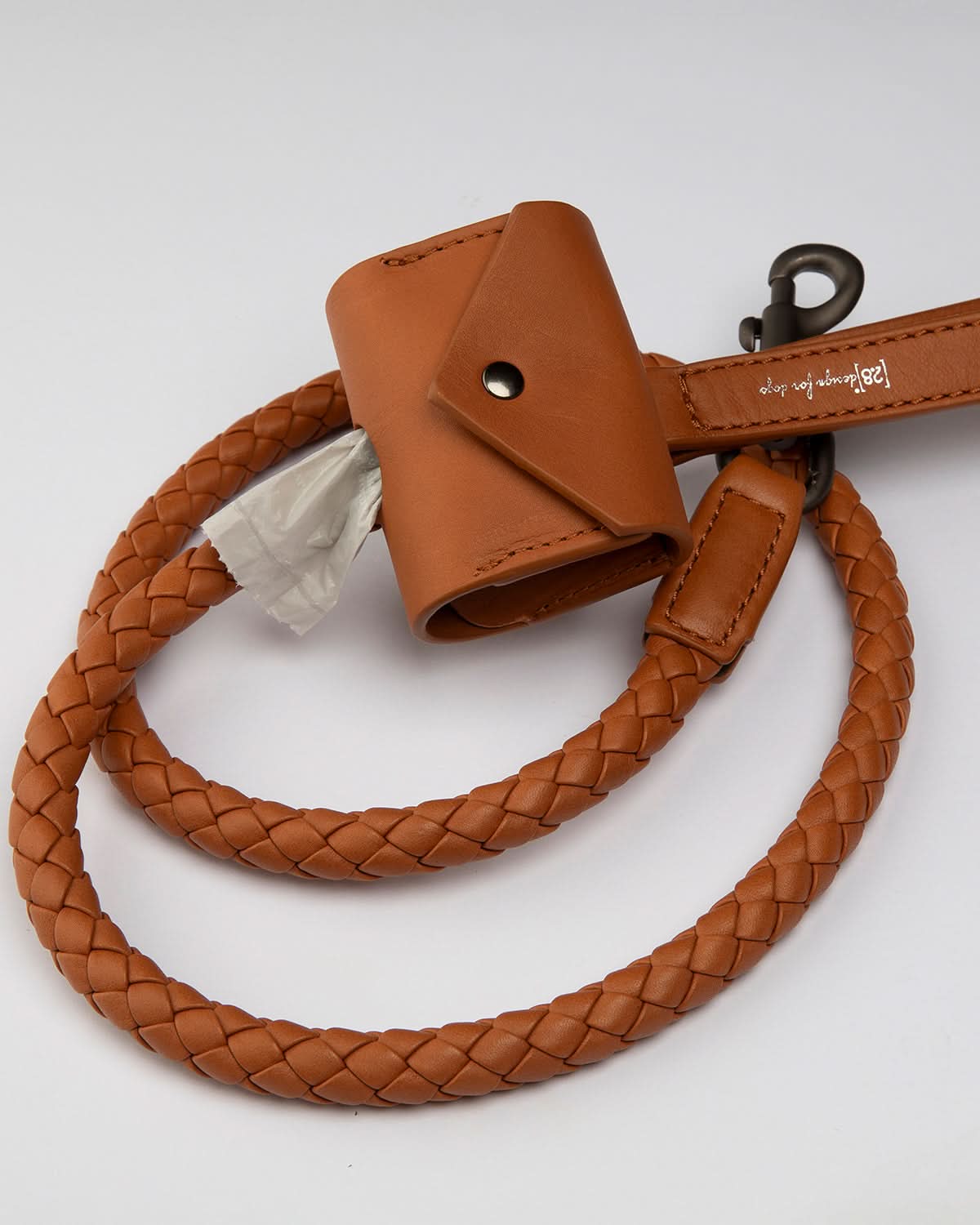 רצועת עור לכלב