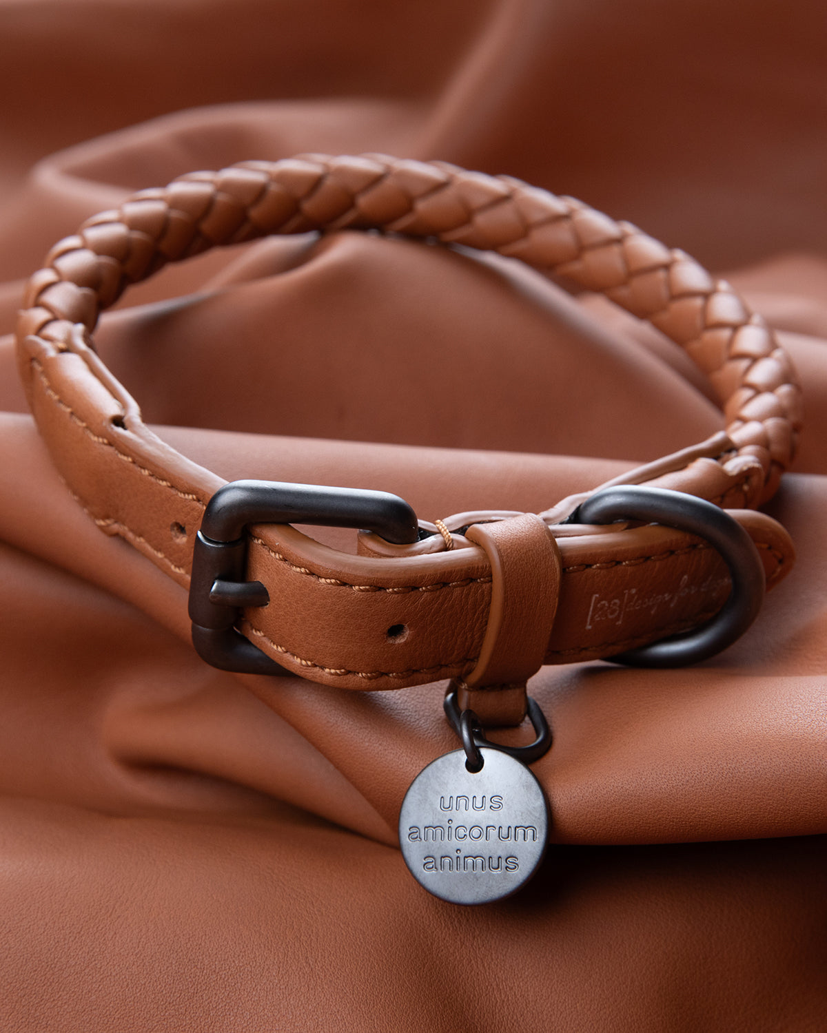 קולר עור לכלבים