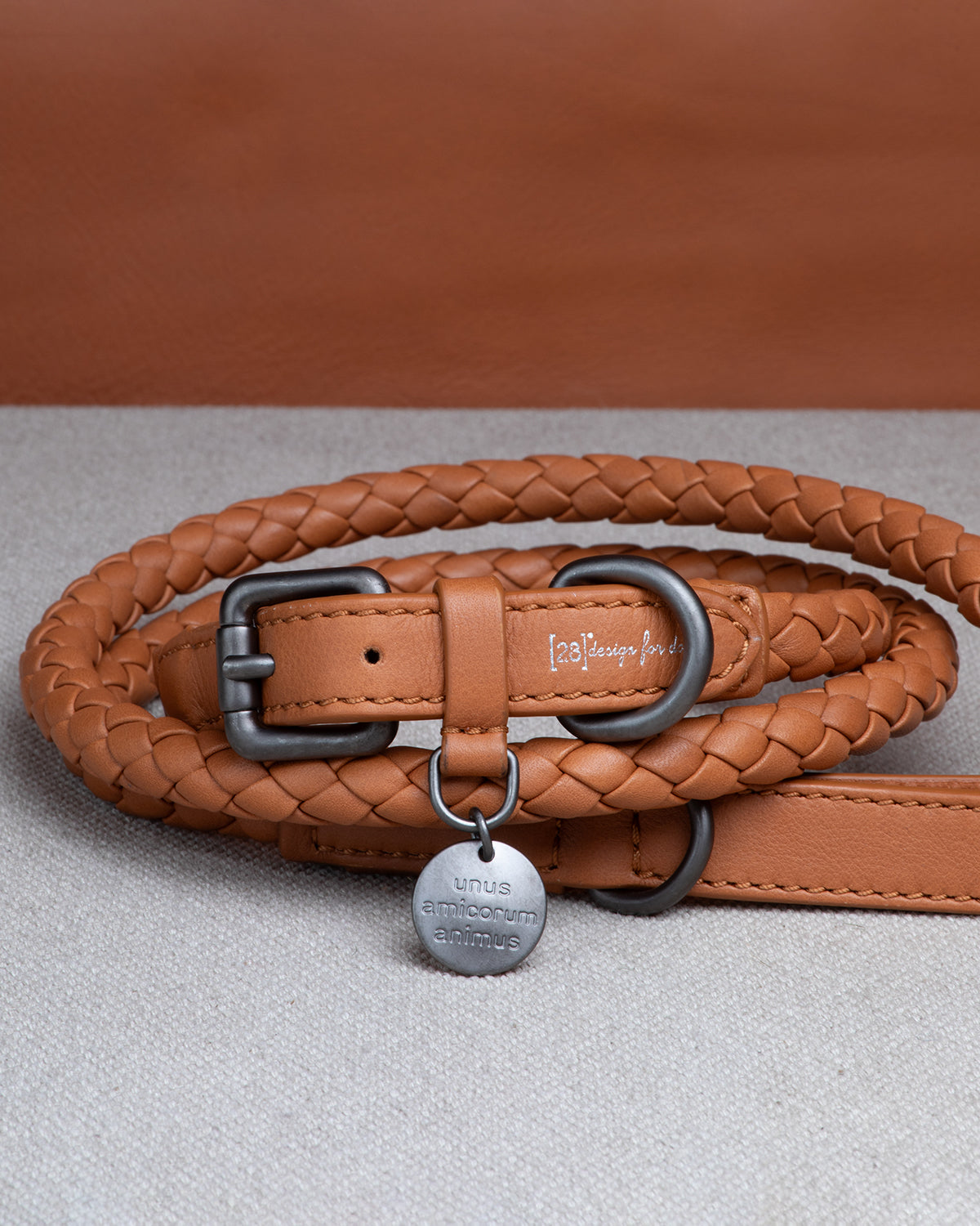 קולר עור לכלבים