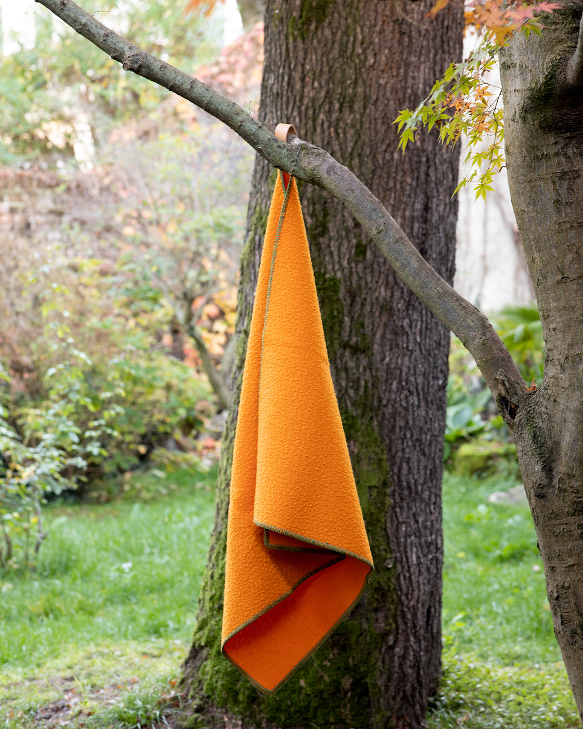 שמיכת צמר לכלבים, שמיכת צמר לחתולים