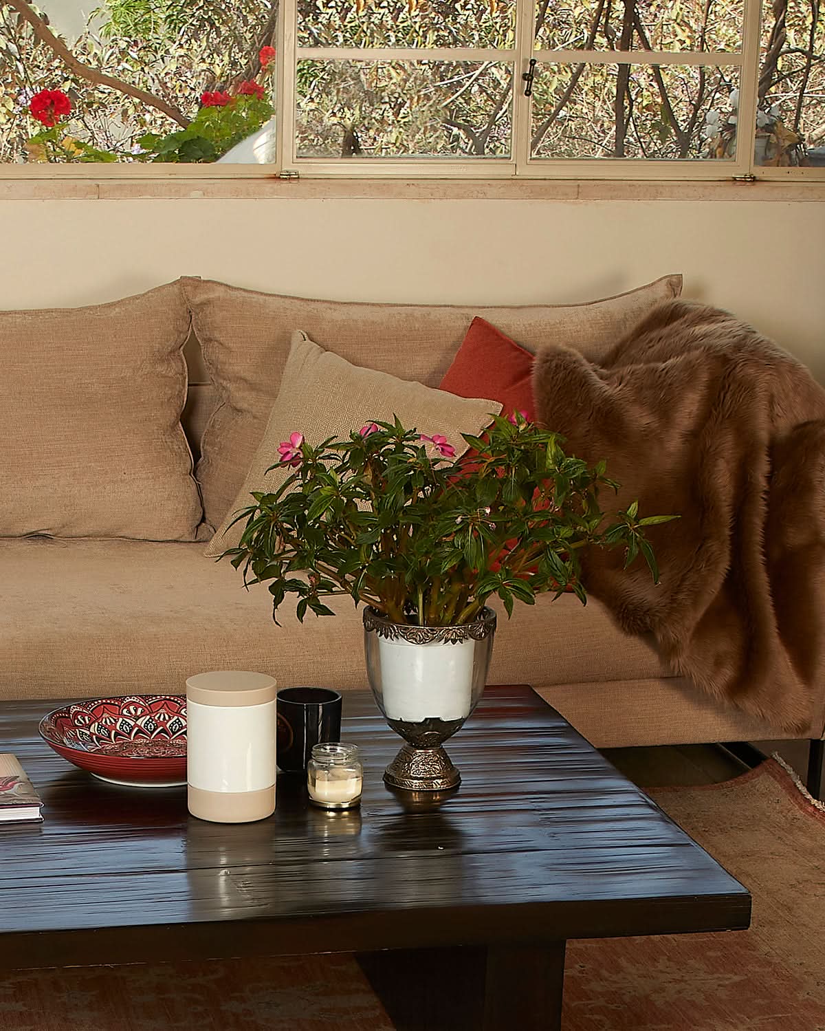 COPPA FOOD & TREAT JAR | צנצנת אחסון מזון וחטיפים לכלבים ולחתולים