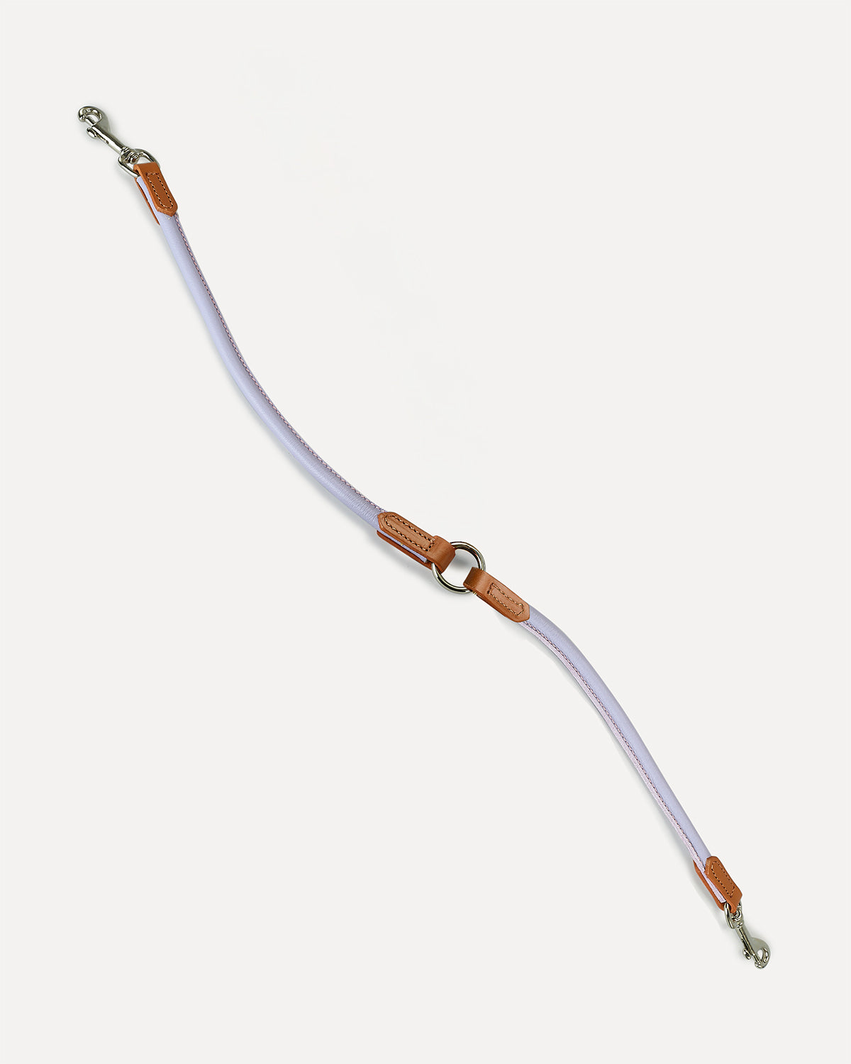 רצועת עור זוגית לכלבים