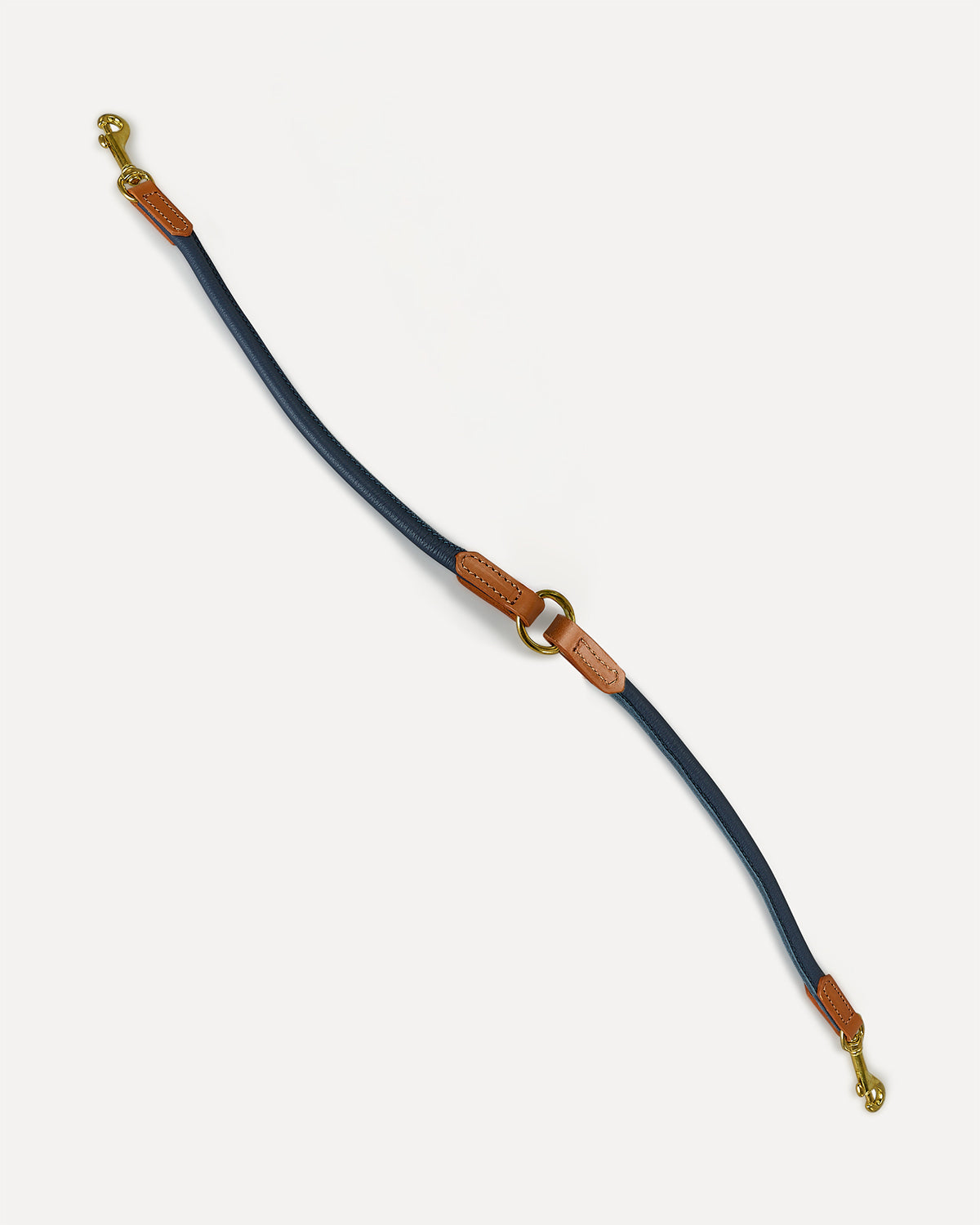 רצועת עור זוגית לכלבים