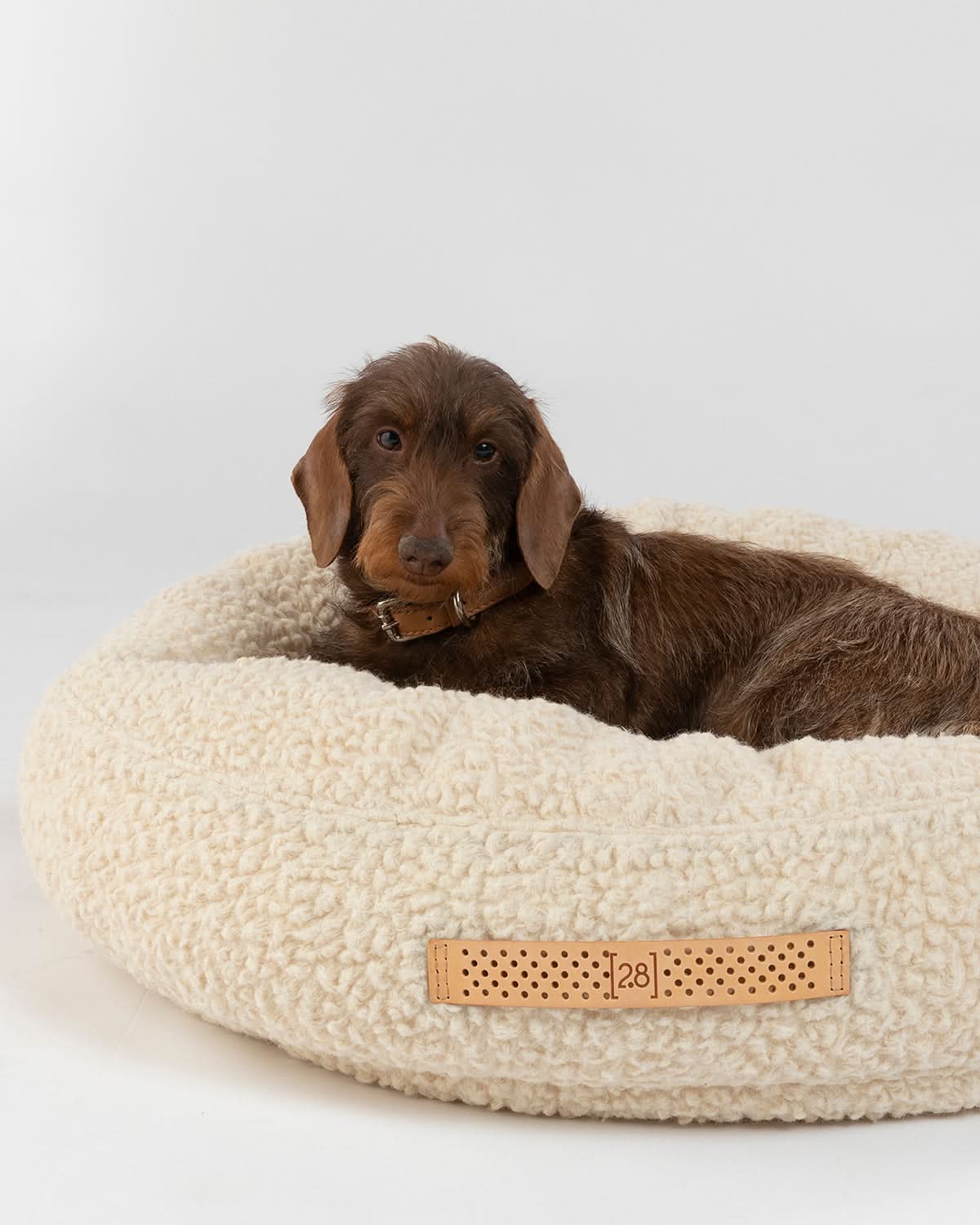 מיטת פוף לכלב מצמר בוקלה איטלקי | FULVIO DOG BED