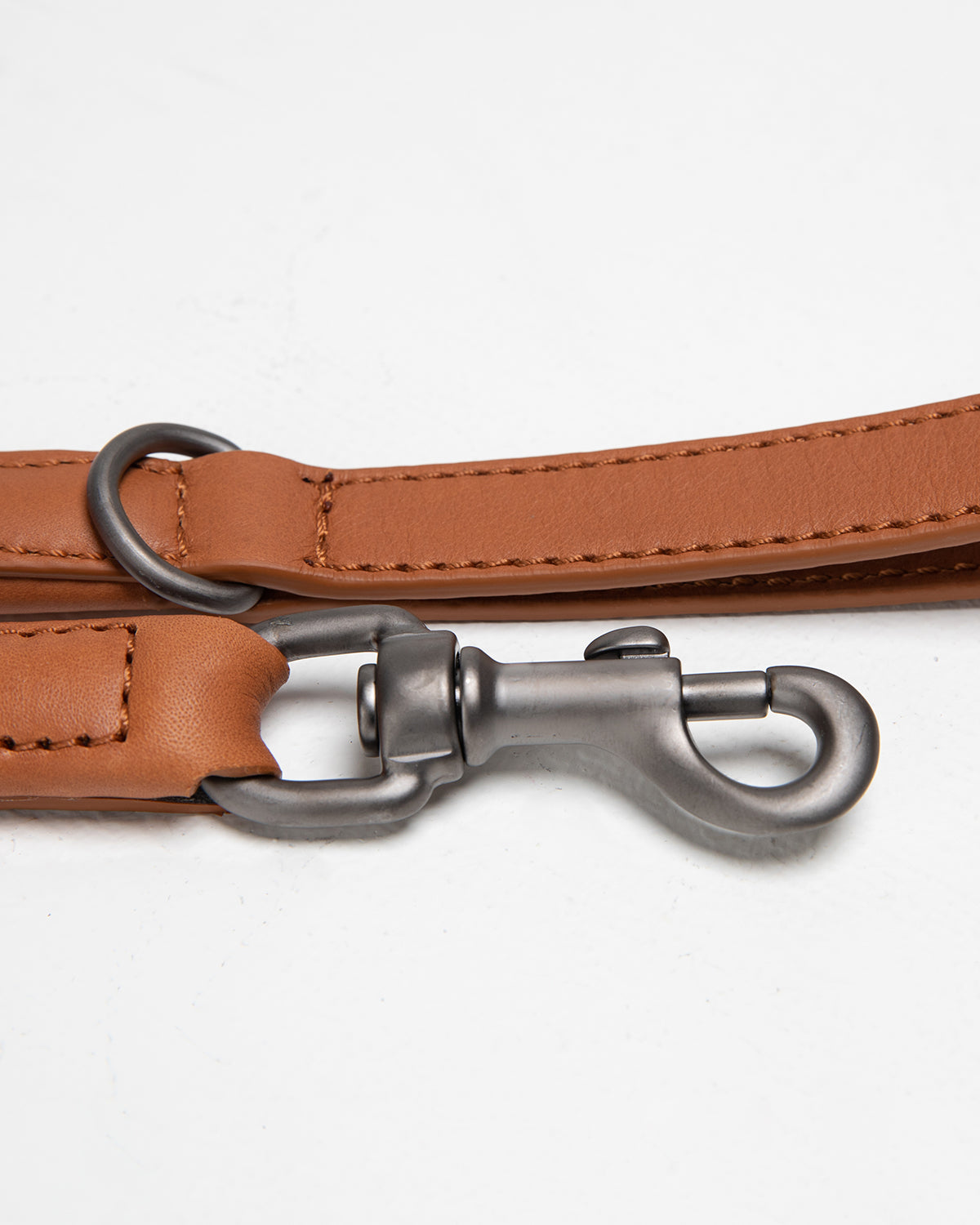 רצועת עור לכלב