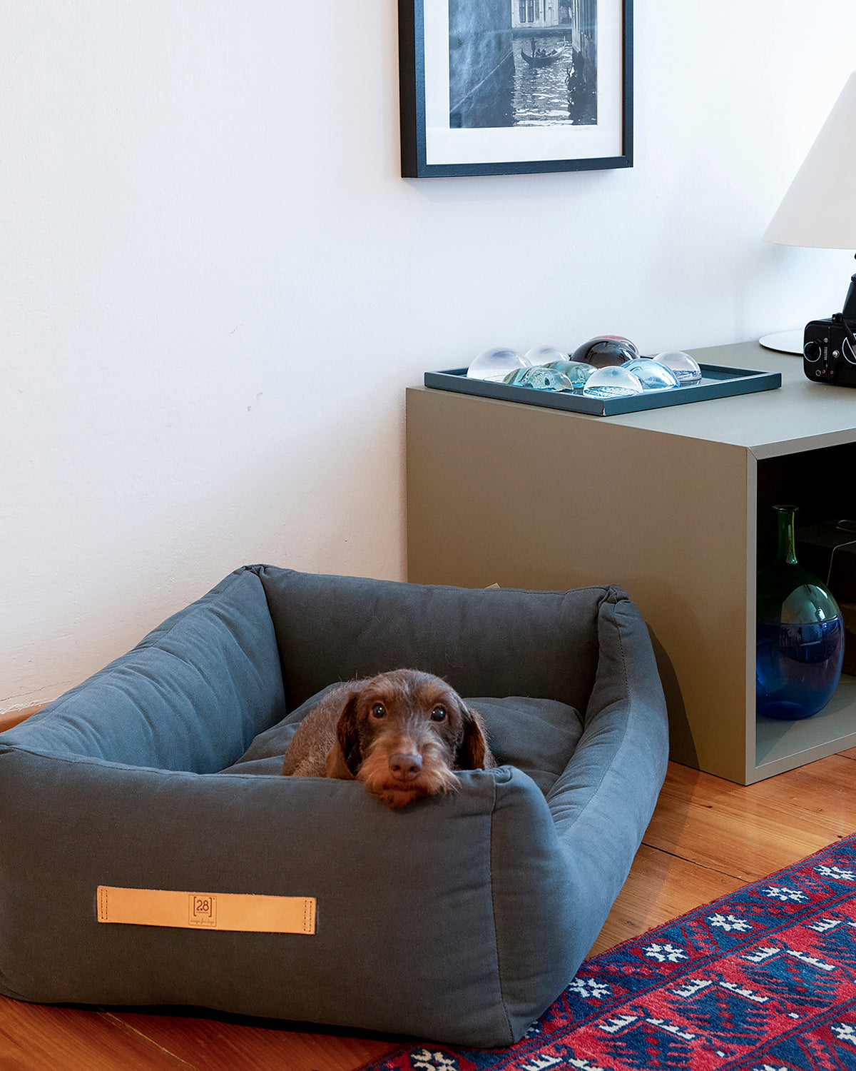 HENRI COTTON CANVAS BED | מיטה לכלב