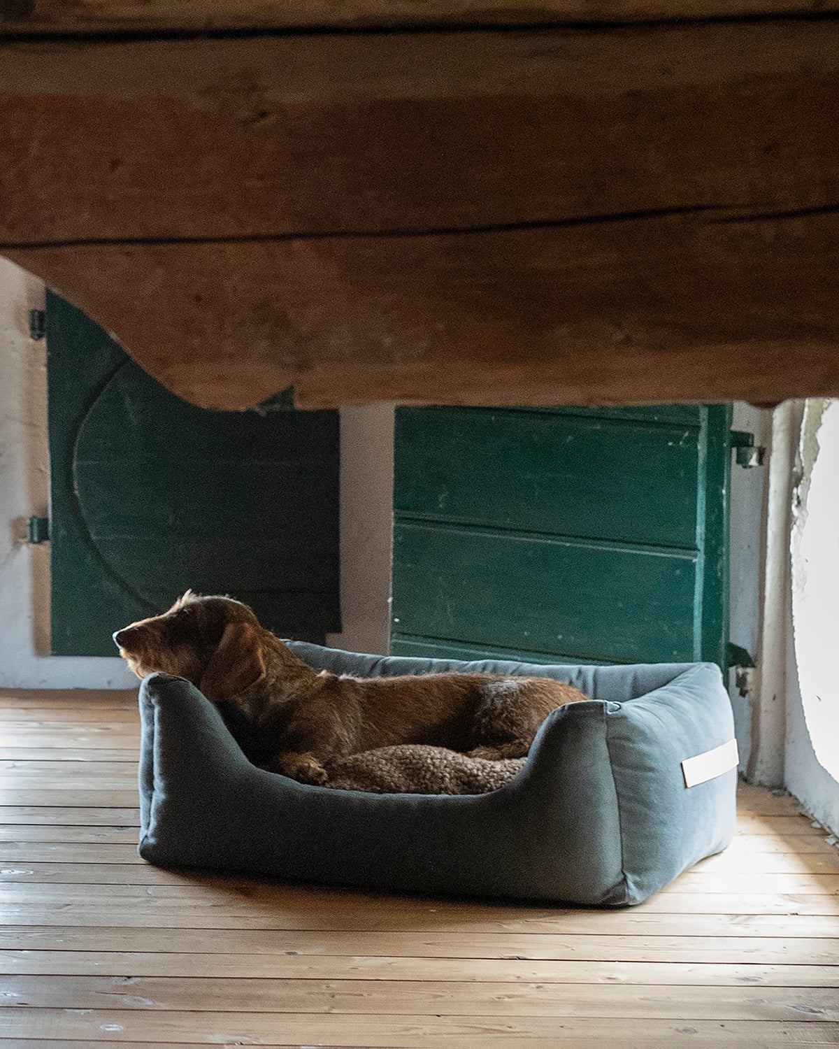 HENRI COTTON CANVAS BED | מיטה לכלב