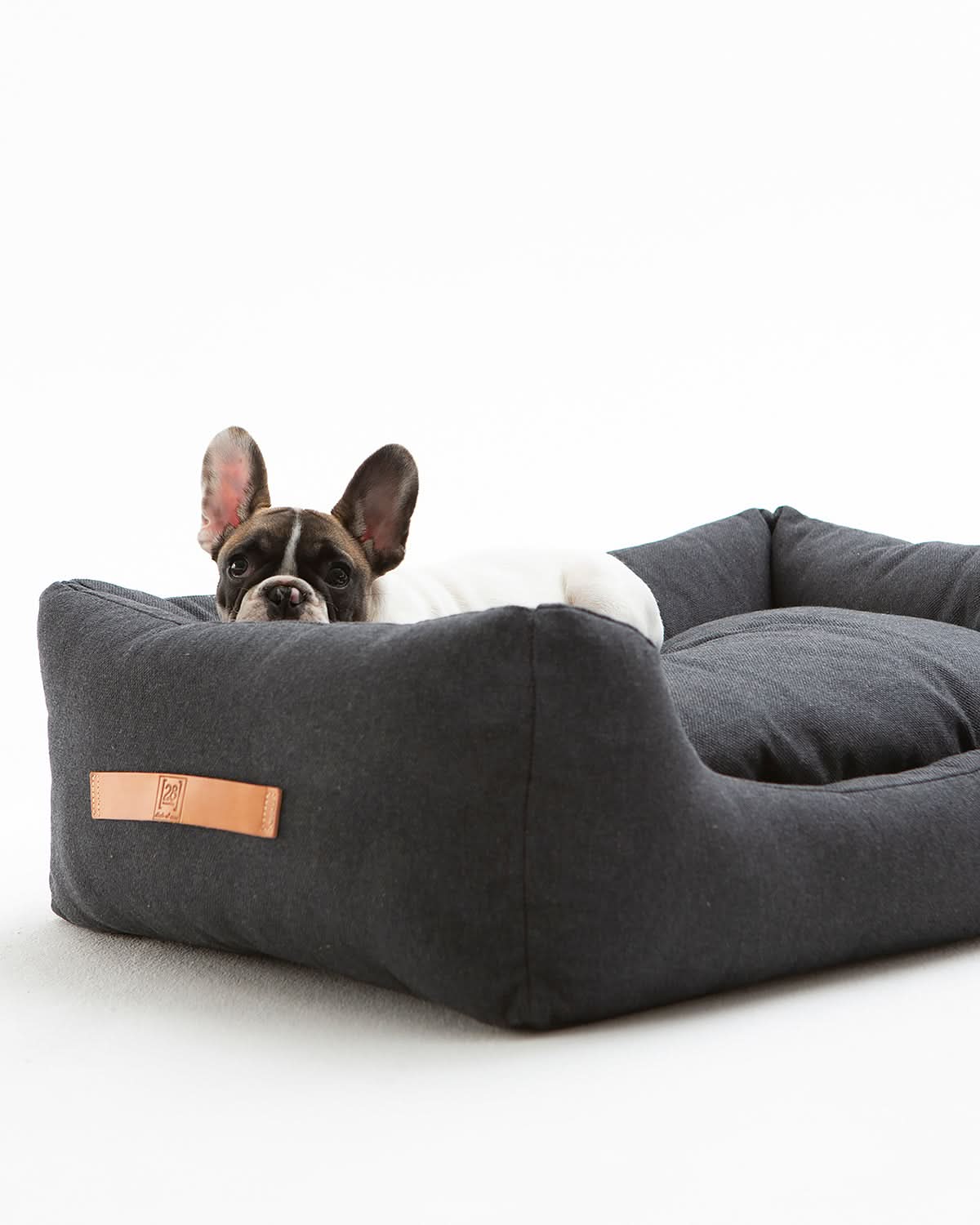 HENRI COTTON CANVAS DOG BED | מיטה לכלב