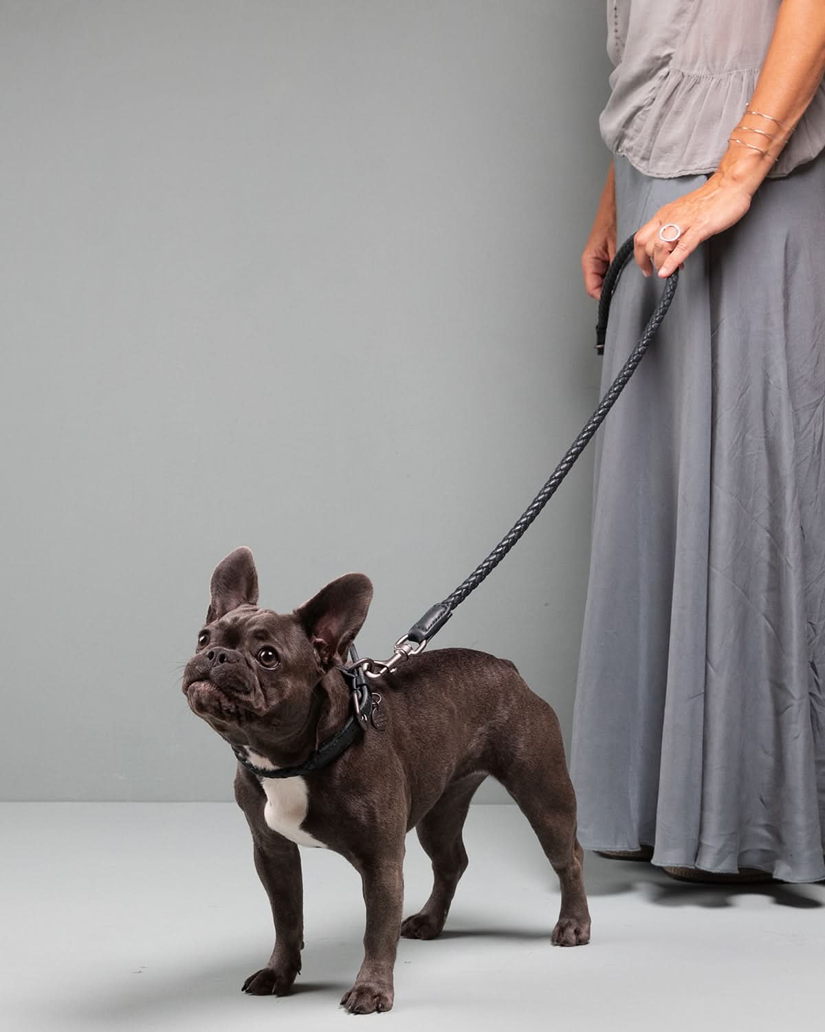 קולר עור לכלבים