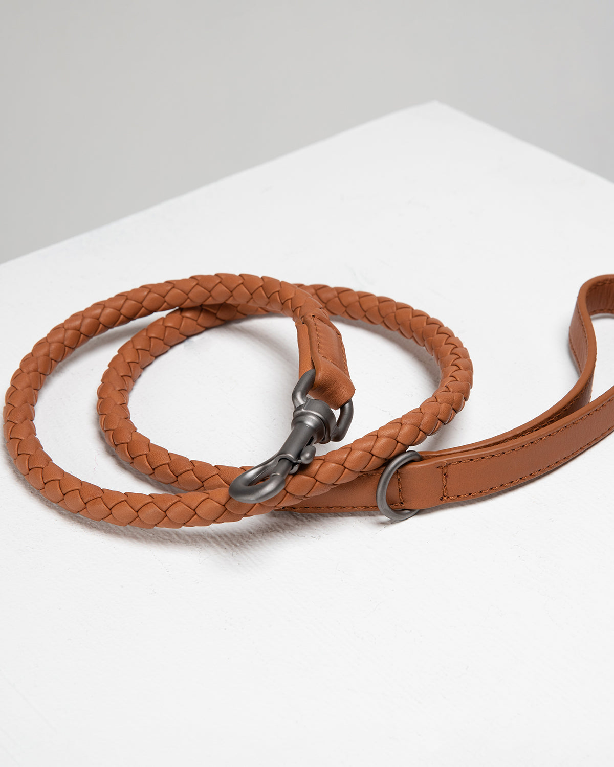 רצועת עור לכלב