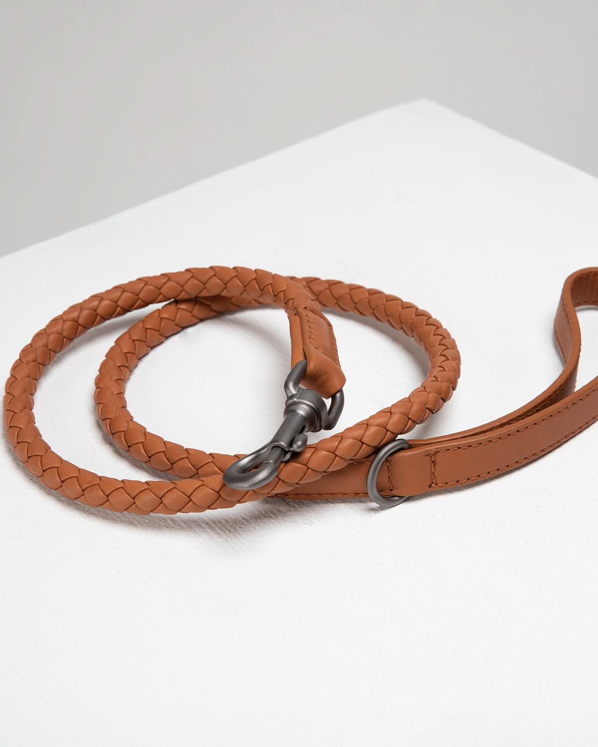 רצועת עור לכלב