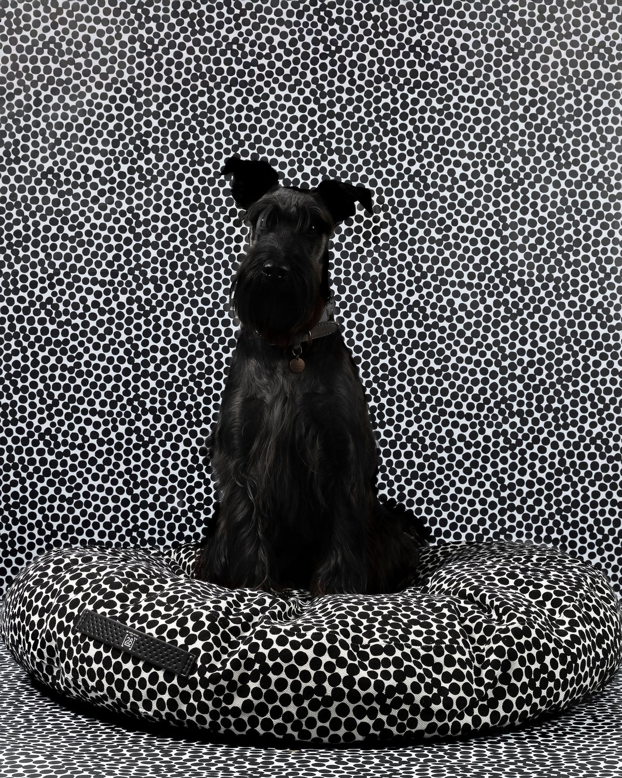 FULVIO DOTTO COLLECTION BED | מיטת פוף לכלב