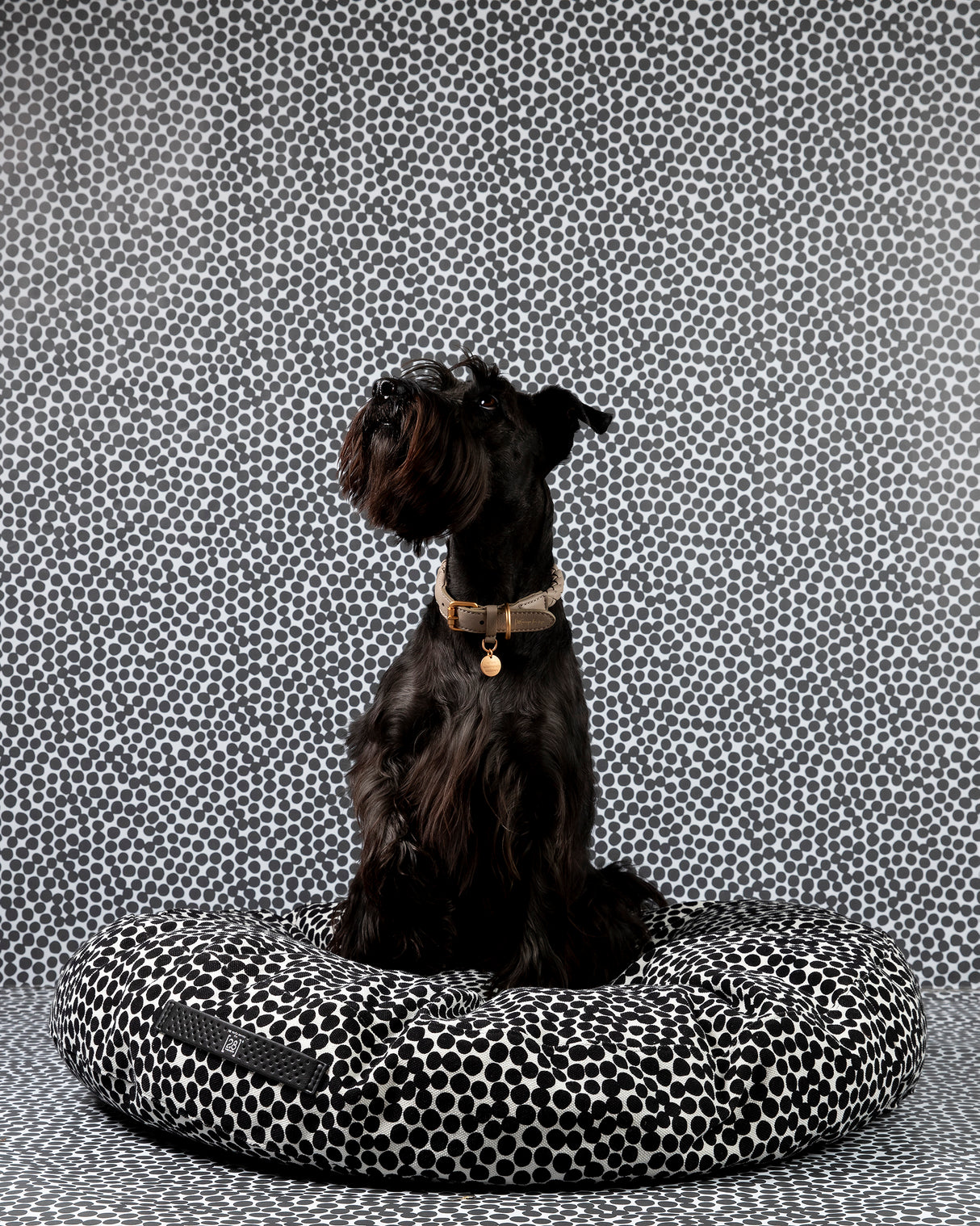 FULVIO DOTTO COLLECTION BED | מיטת פוף לכלב