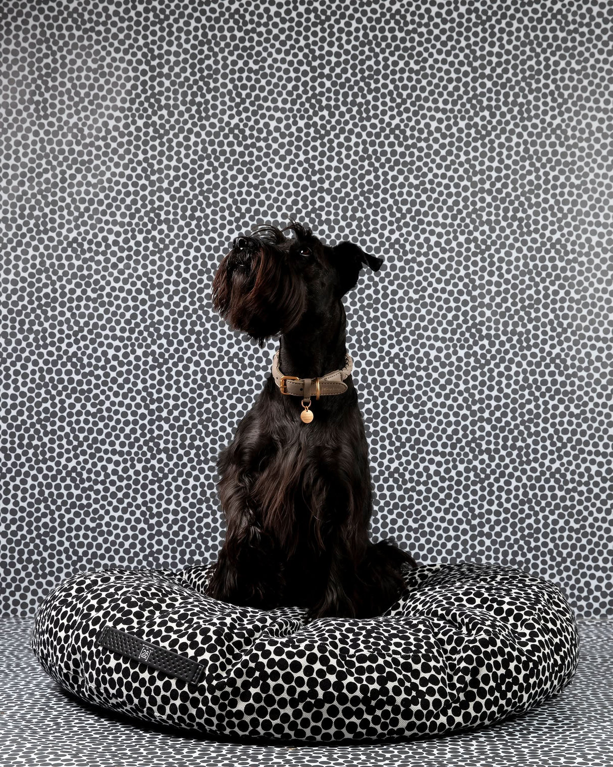 FULVIO DOTTO COLLECTION BED | מיטת פוף לכלב