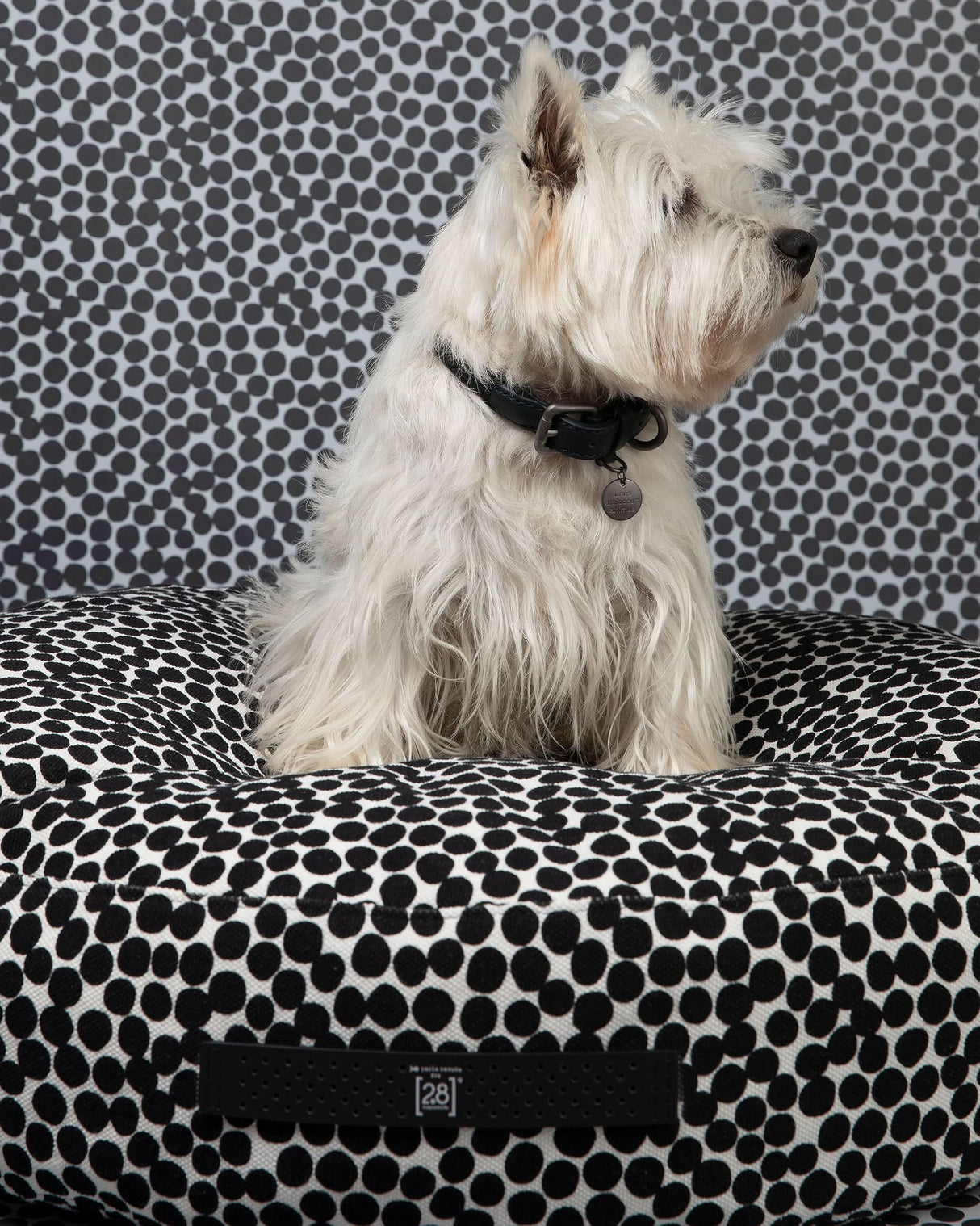 FULVIO DOTTO COLLECTION BED | מיטת פוף לכלב