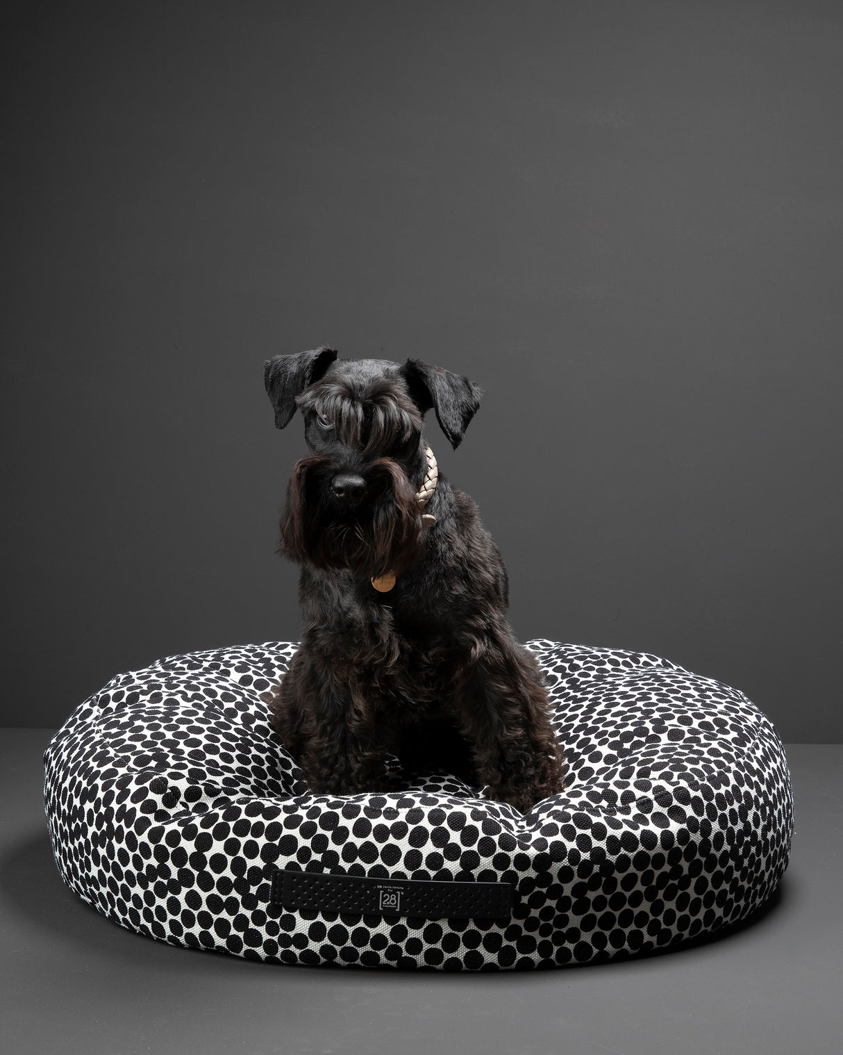 FULVIO DOTTO COLLECTION BED | מיטת פוף לכלב