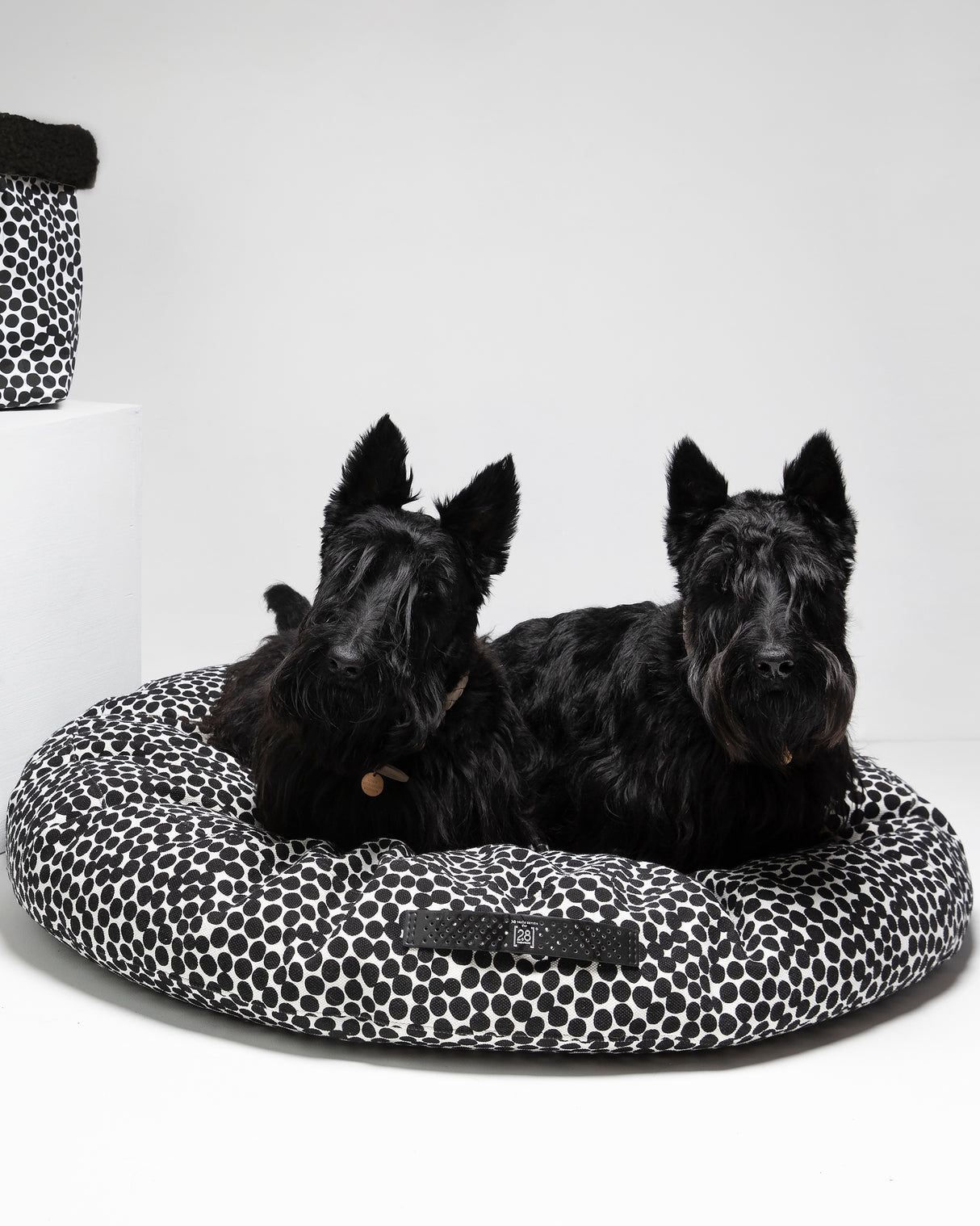 FULVIO DOTTO COLLECTION BED | מיטת פוף לכלב