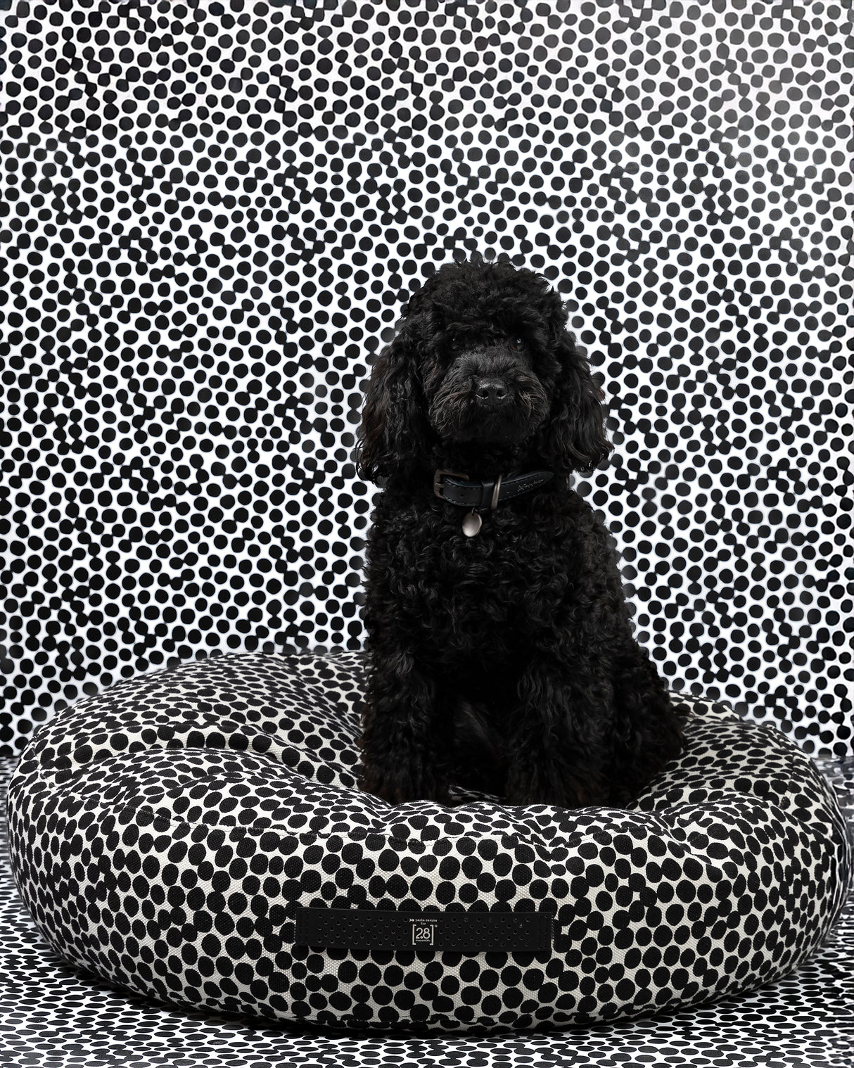 FULVIO DOTTO COLLECTION BED | מיטת פוף לכלב