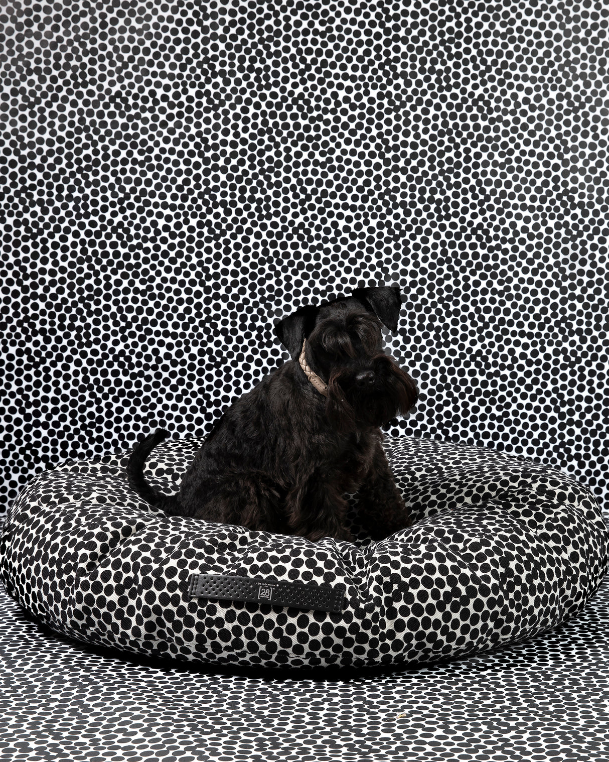 FULVIO DOTTO COLLECTION BED | מיטת פוף לכלב