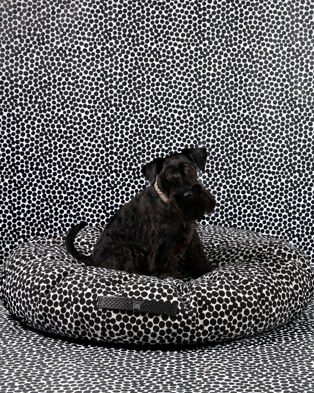 FULVIO DOTTO COLLECTION BED | מיטת פוף לכלב