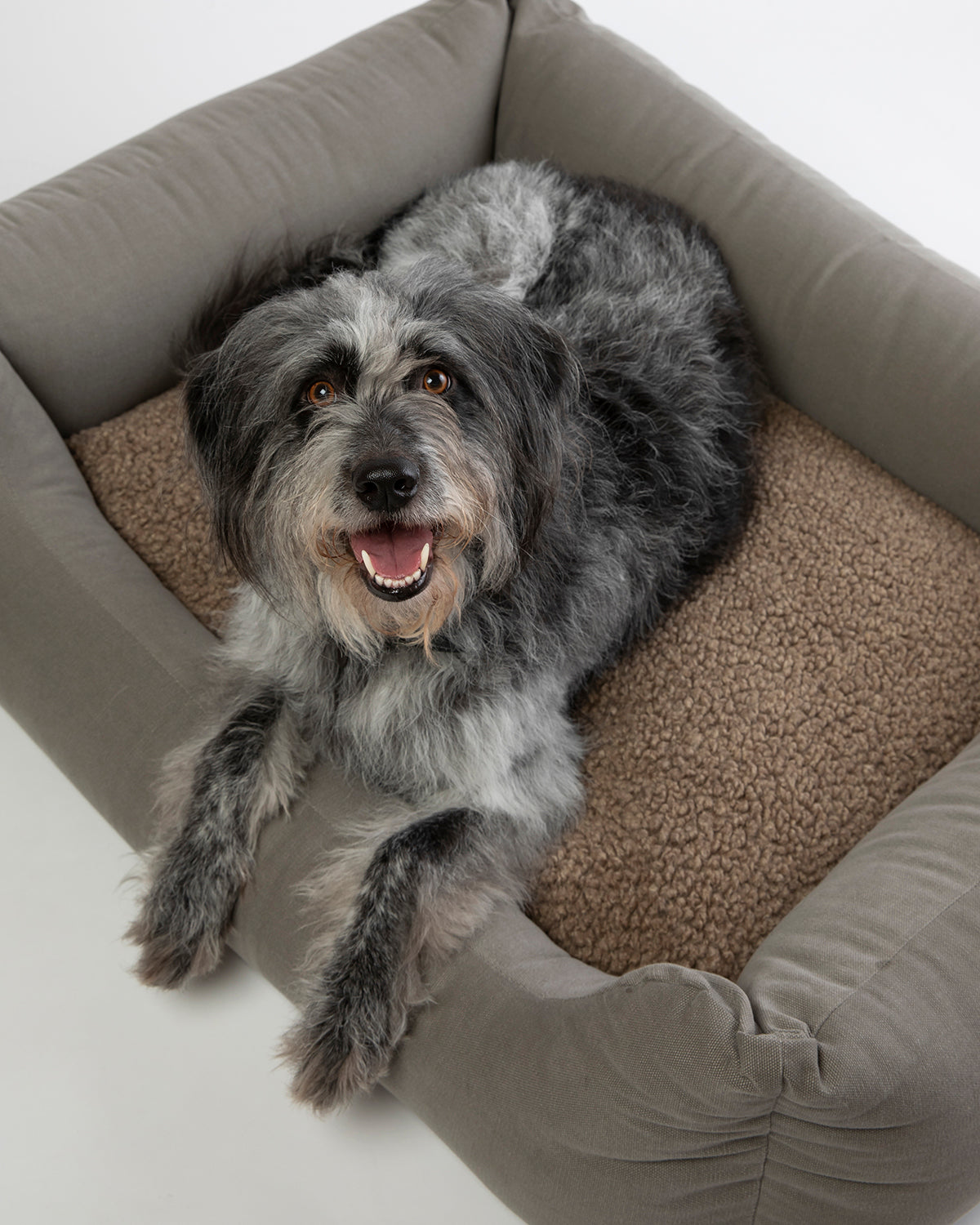 HENRI COTTON CANVAS BED | מיטה לכלב