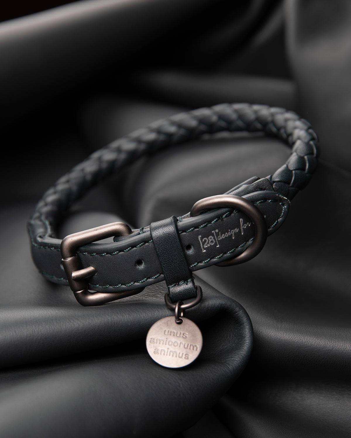 קולר עור לכלבים