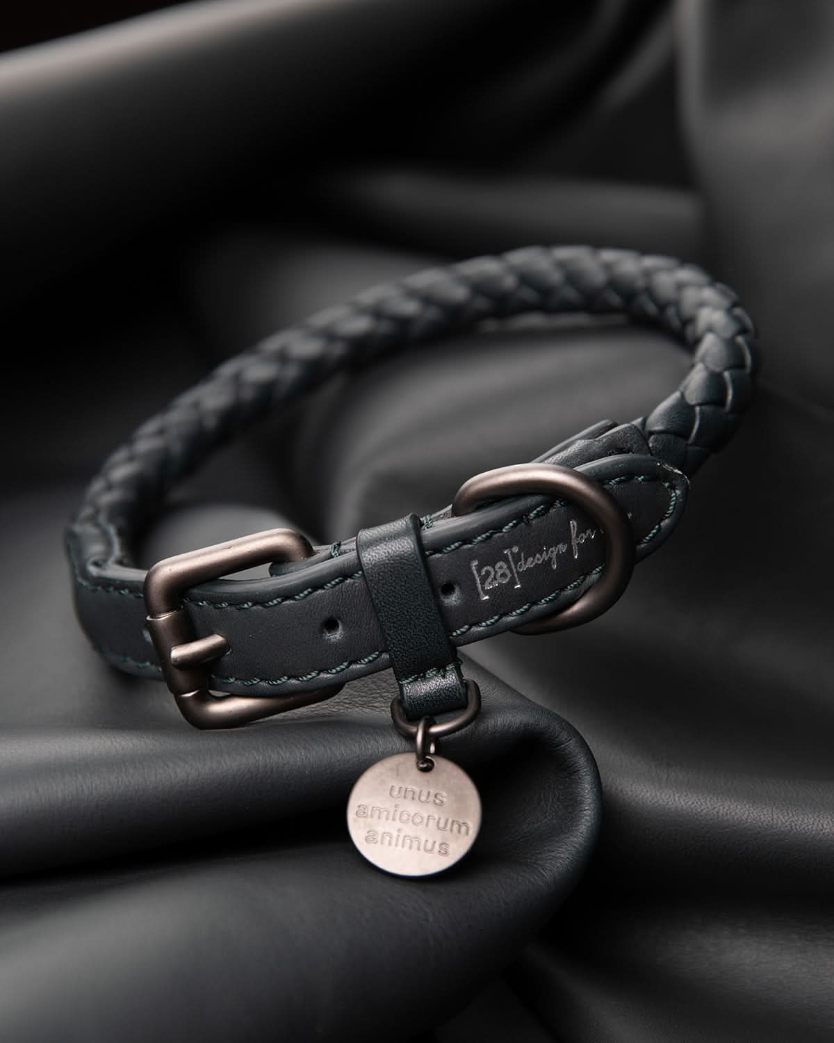 קולר עור לכלבים